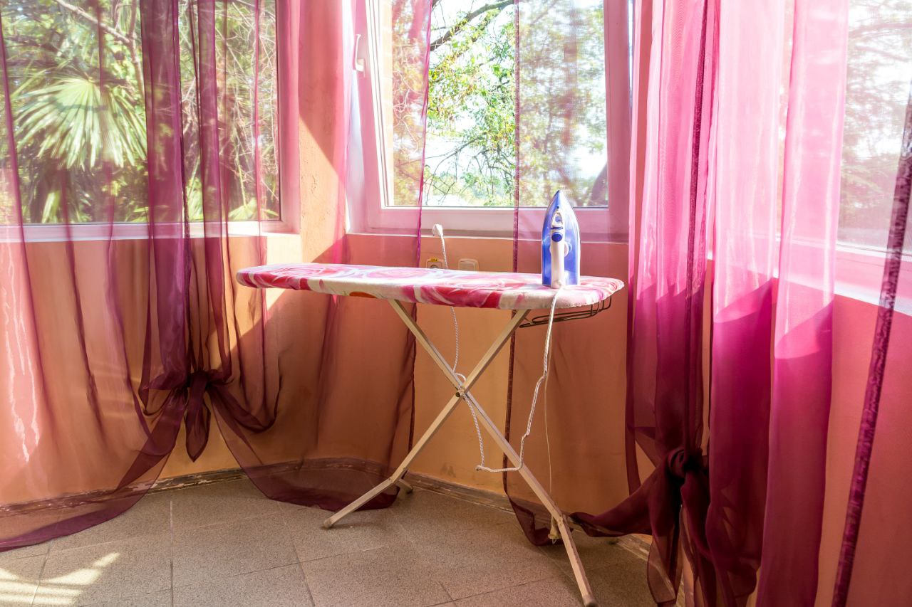 Фото Альбатрос