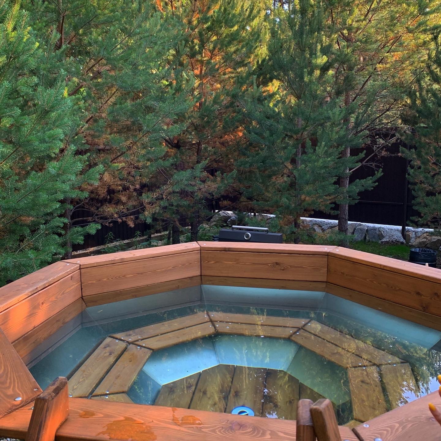 Фото Хворост