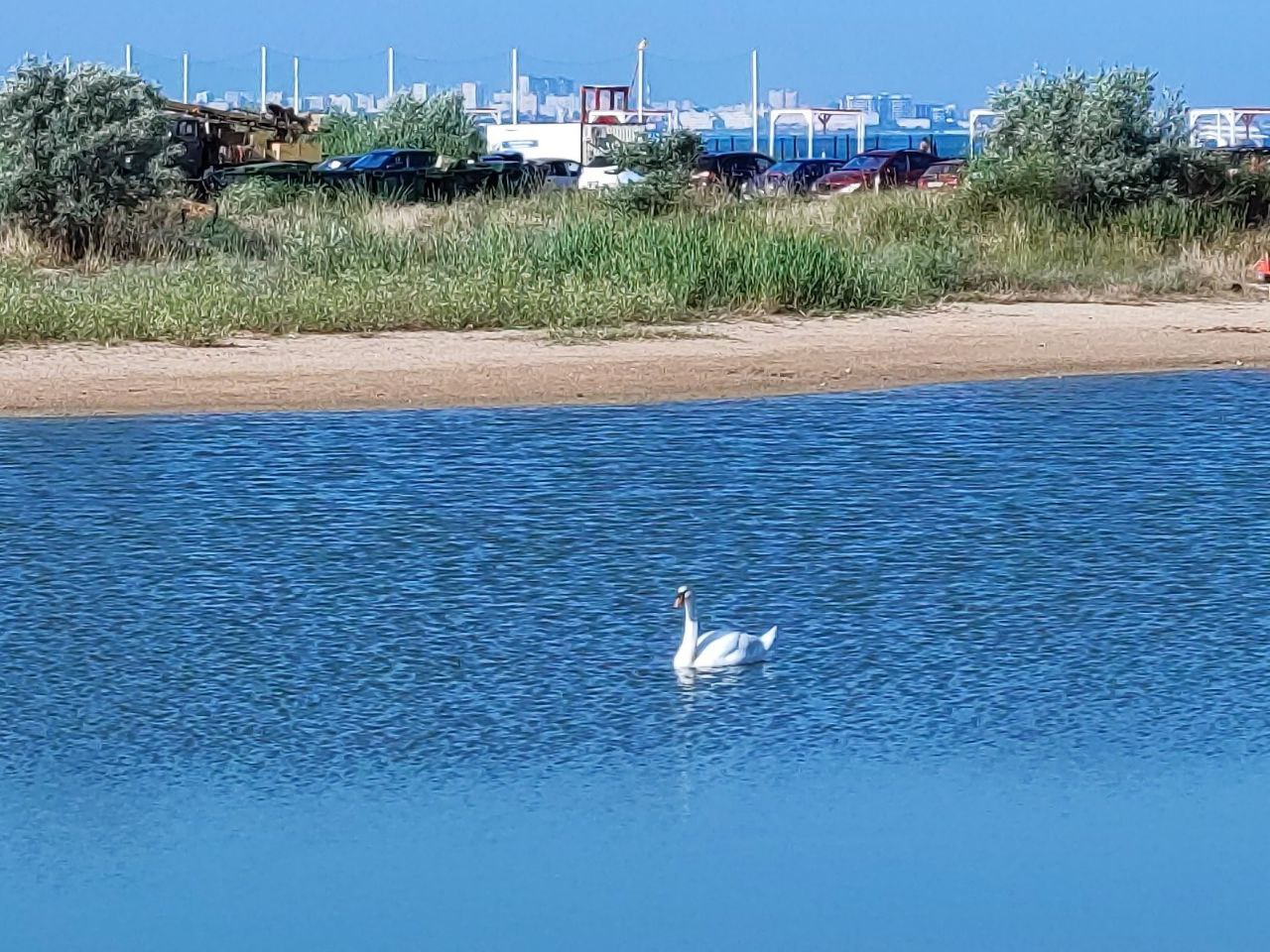 Фото Песчаный берег