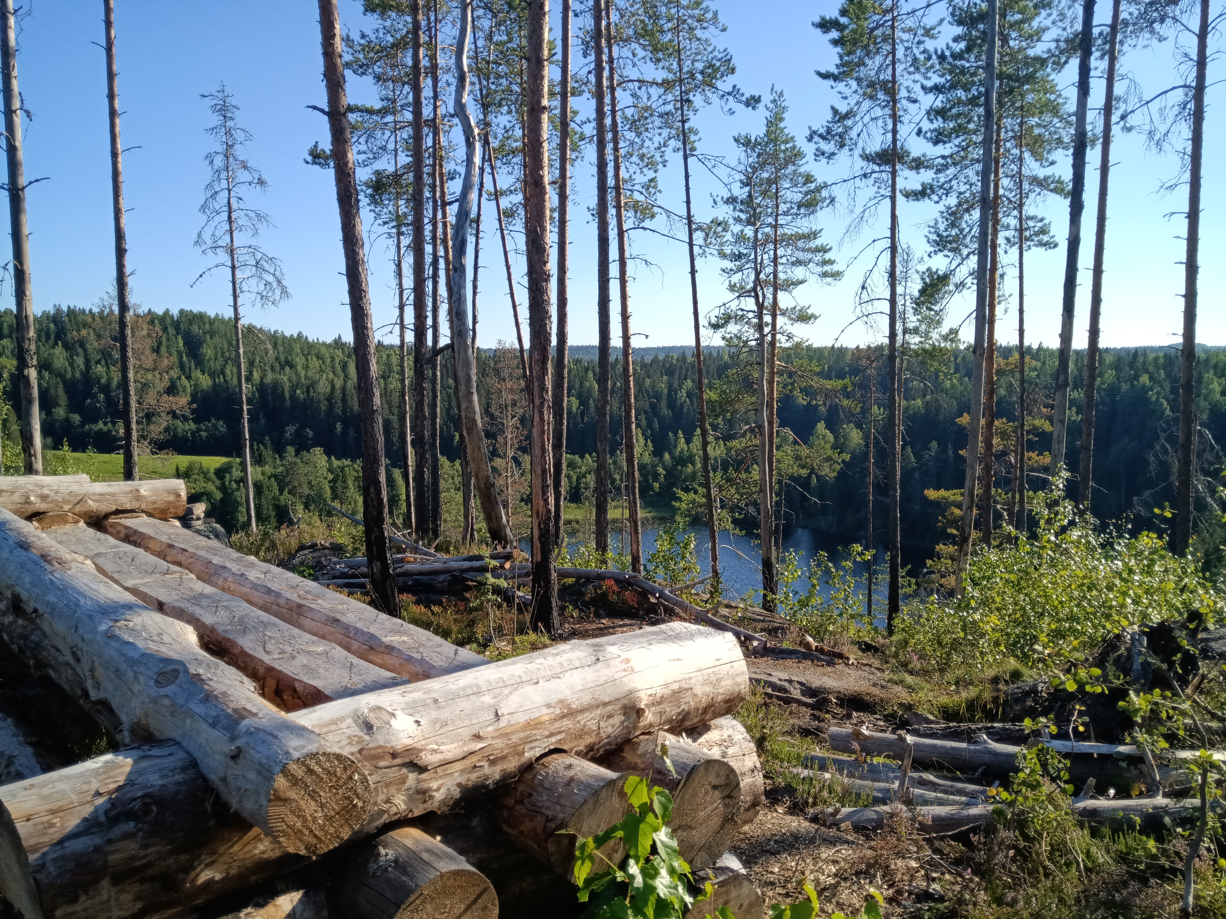 Фото Котопельто