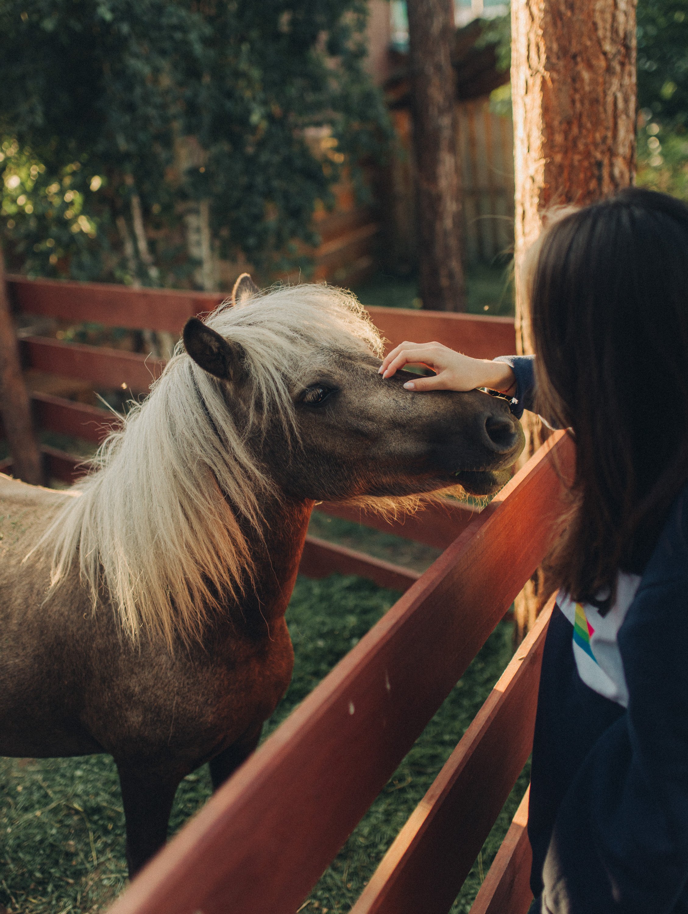 Фото Кумуткан