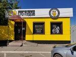Sto Pudov (Vokzalnaya ulitsa, 3Д), beer shop