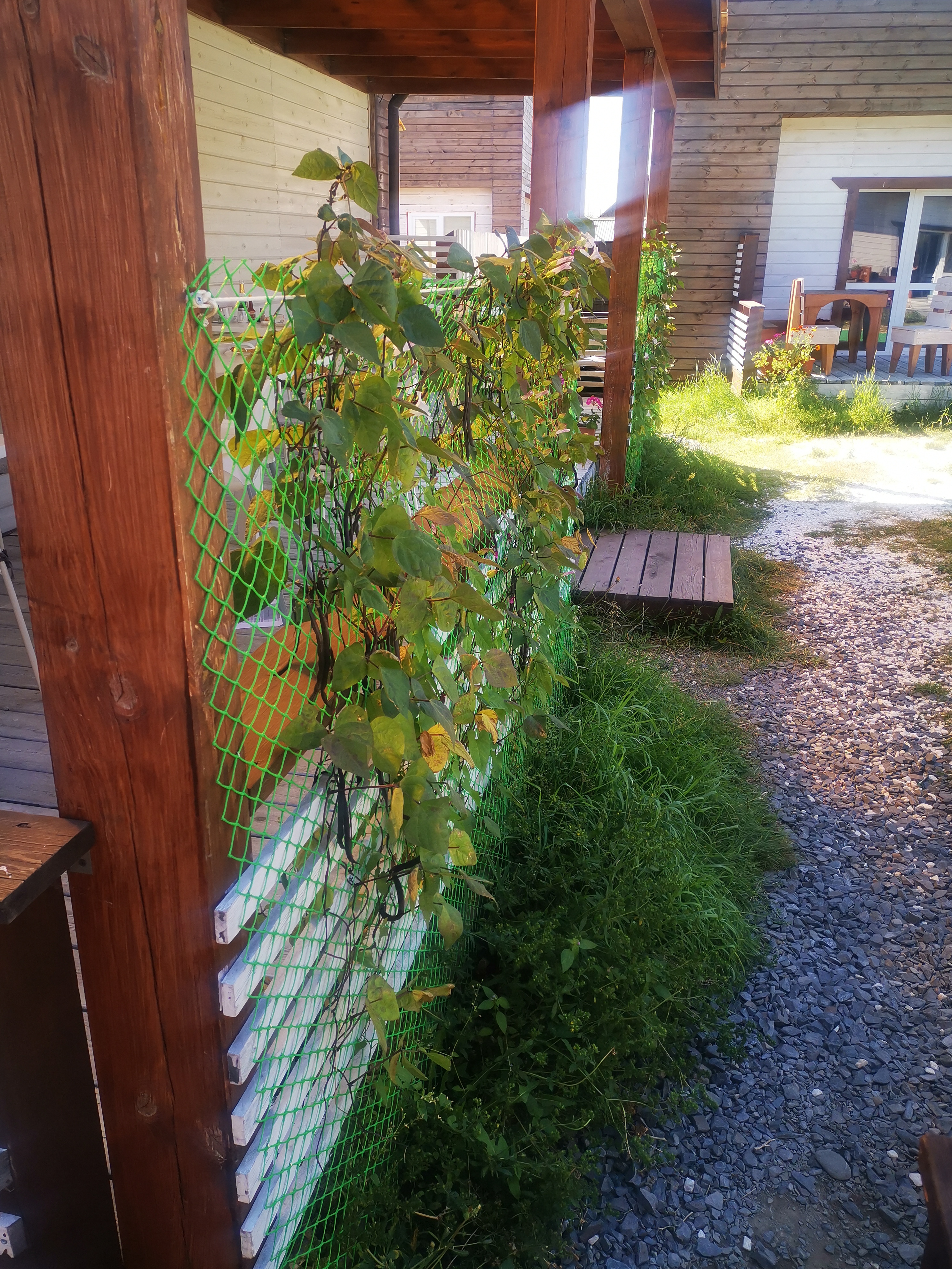 Фото Baikal Holiday