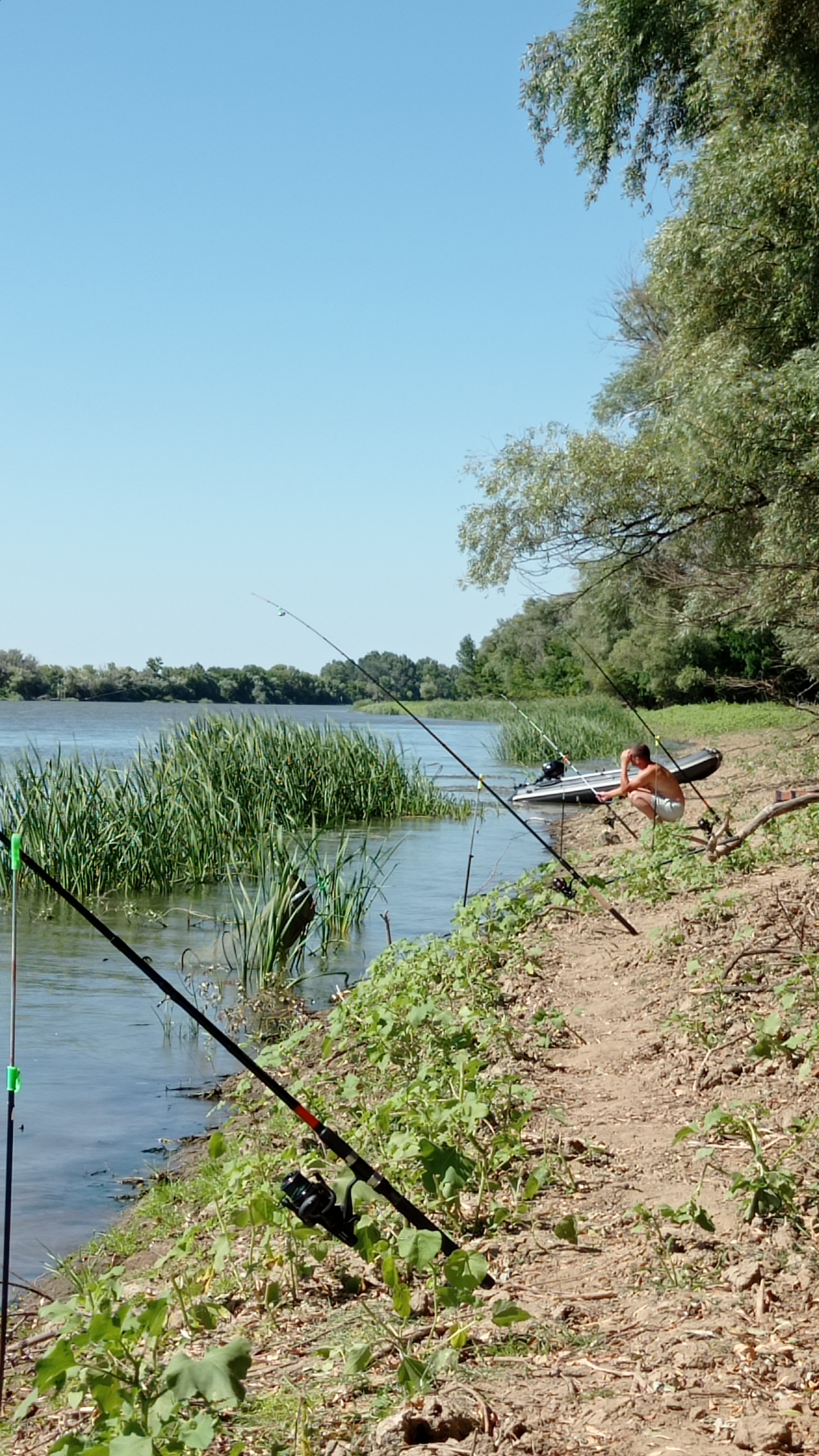 Фото Лазурная
