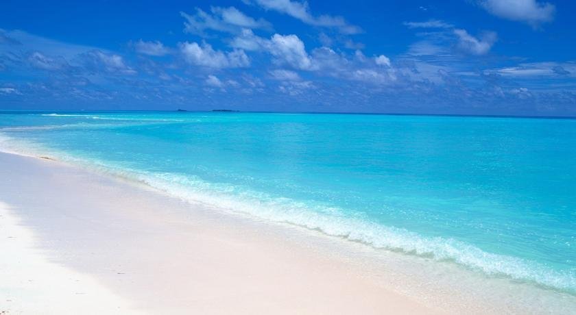 Фото Hotel Regina