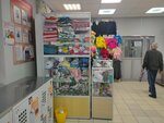 Magazin detskoy odezhdy (ulitsa Mira, 113Б) ، متجر ملابس أطفال