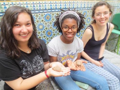 Фото Kaktus Hostel