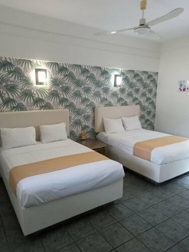 Гостиница Hotel Gran Palmeiras