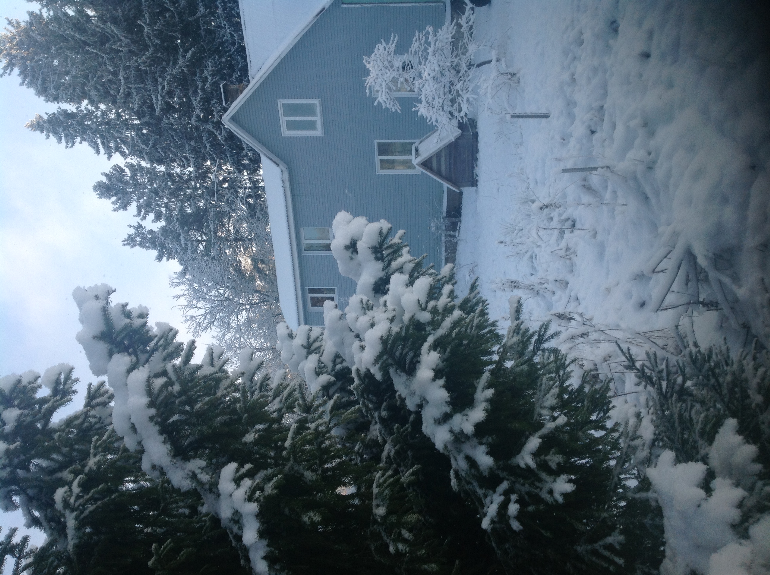 Фото У Сергея