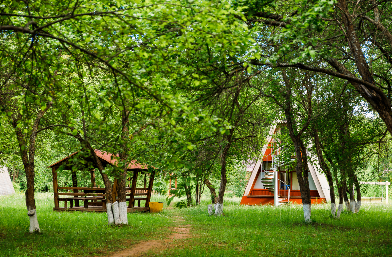 Фото Барбекю-парк Мечтатели