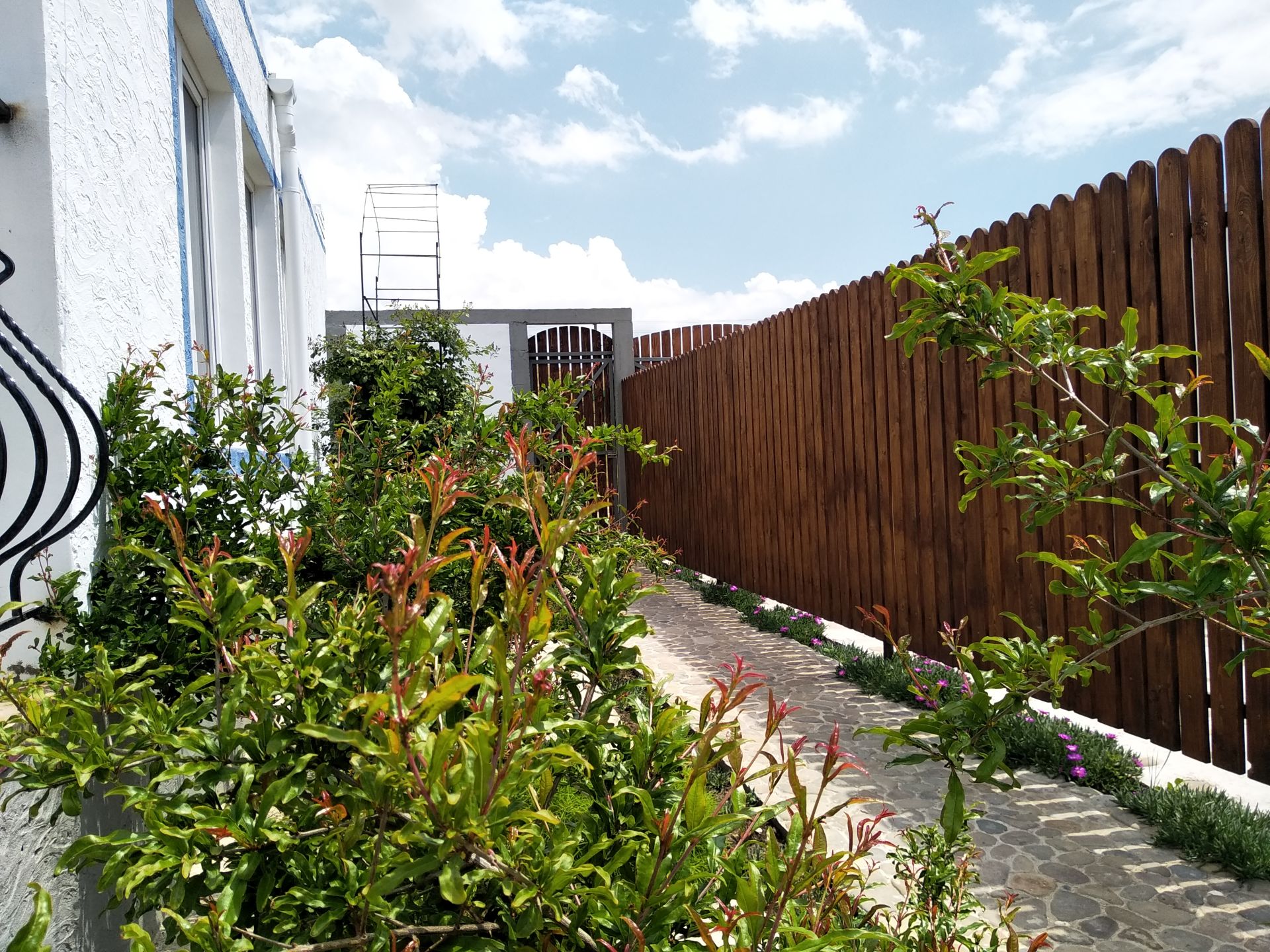 Фото Дом с Дельфином