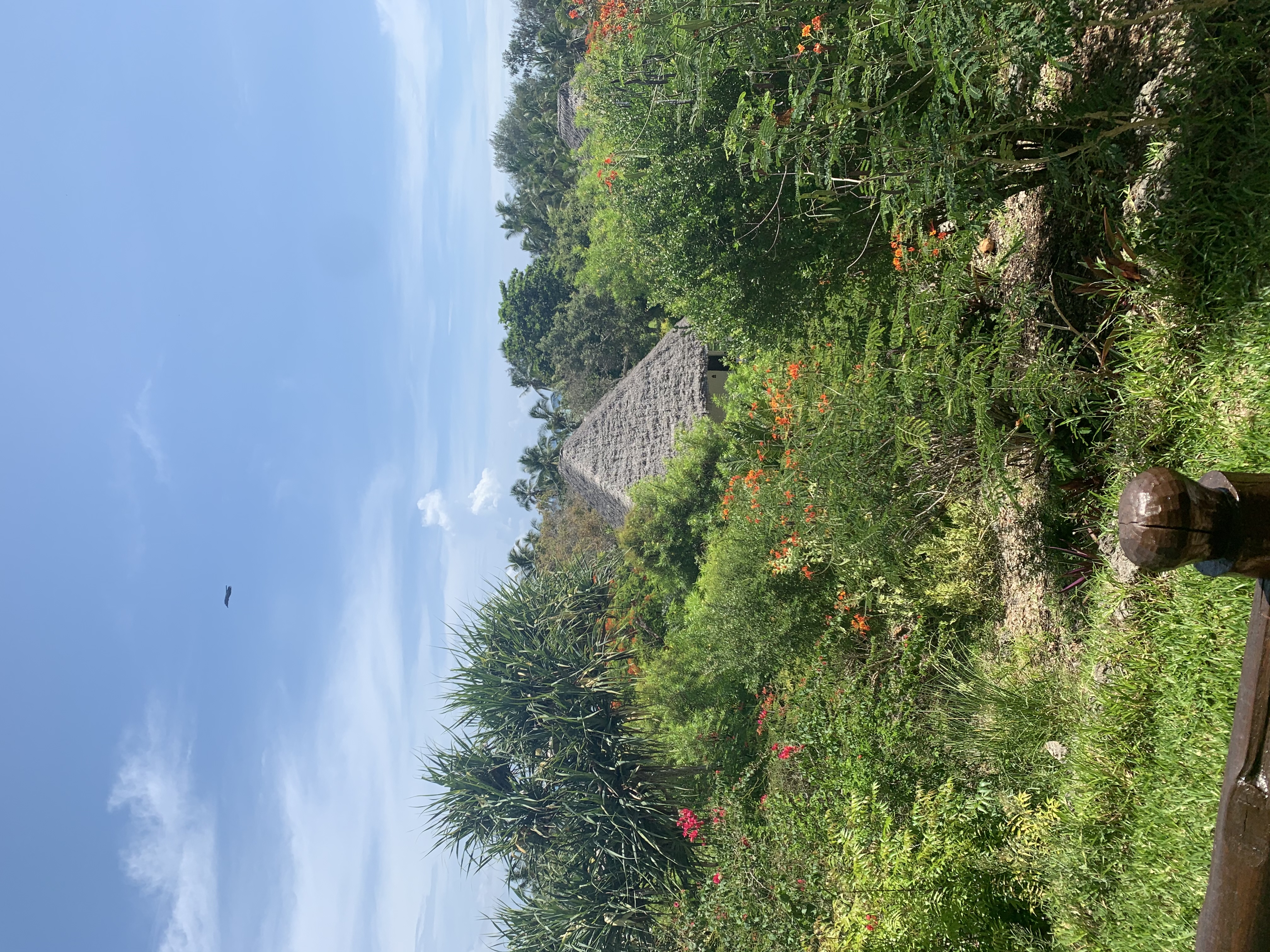 Фото Bluebay Beach Resort & SPA