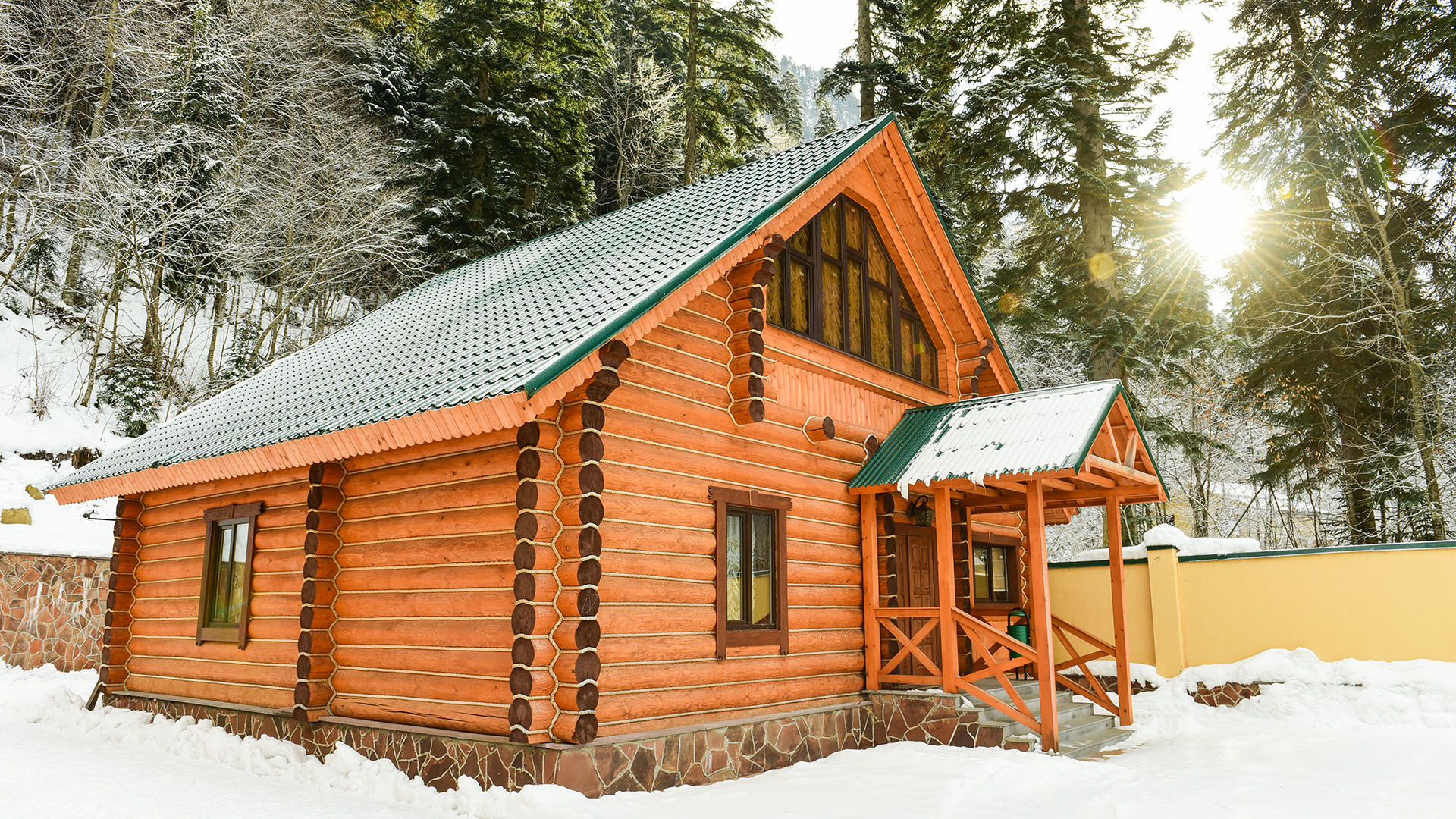 Фото Фор Рест