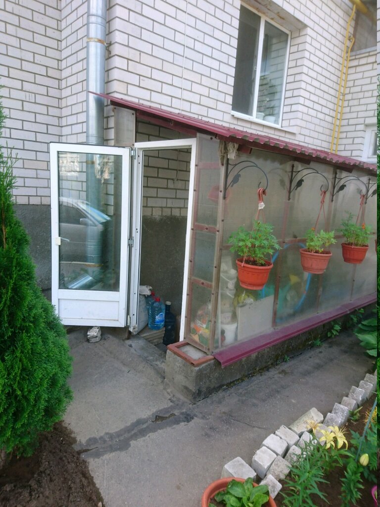 جمعية أصحاب المنازل TSZh Sudogodskoye shosse 29i ، ، صورة