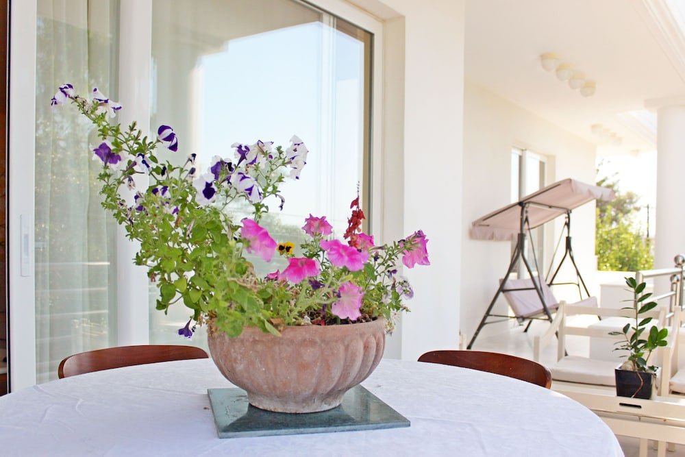 Фото Roof garden Seaside lux Home