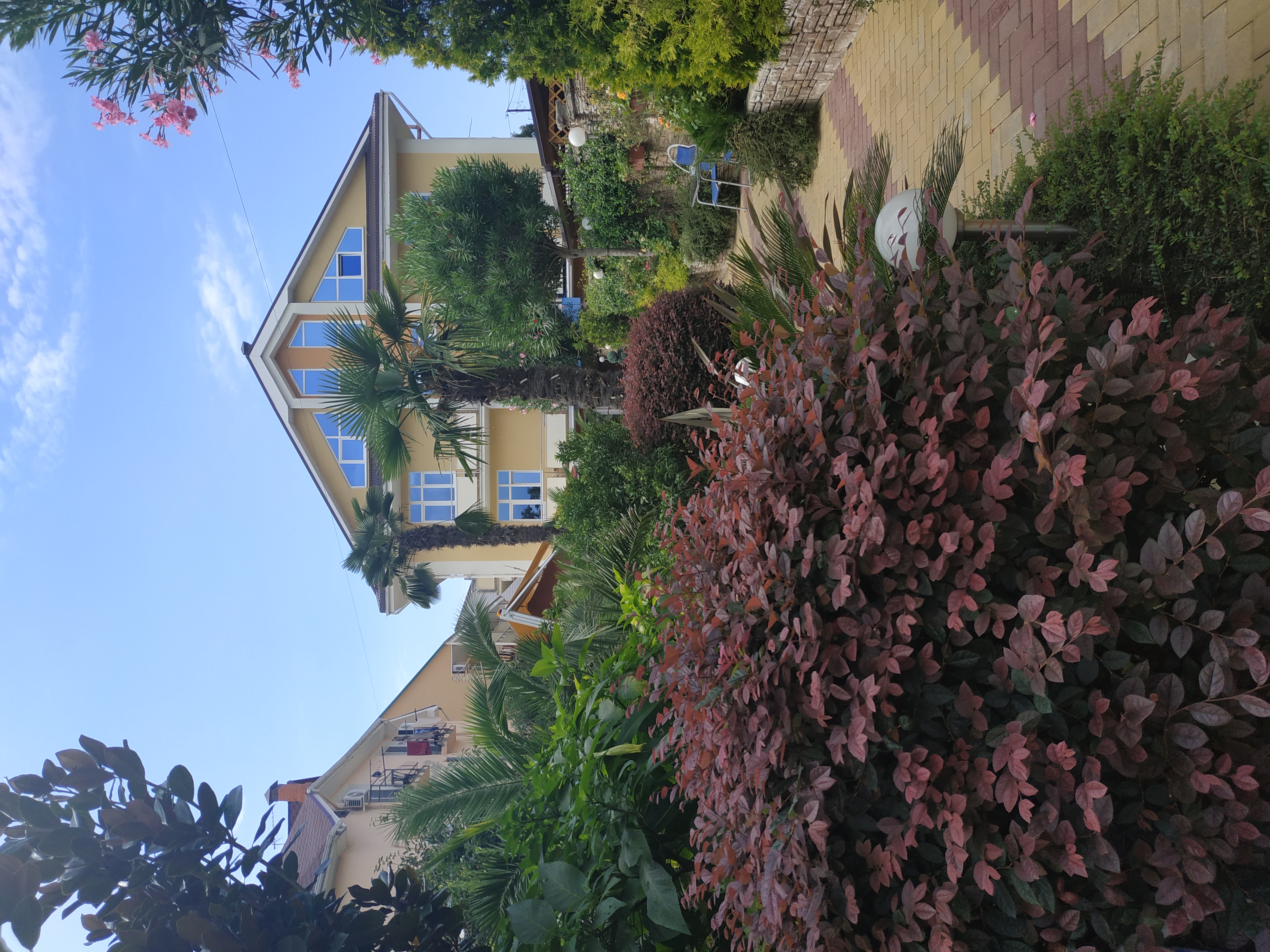 Фото Дельфин