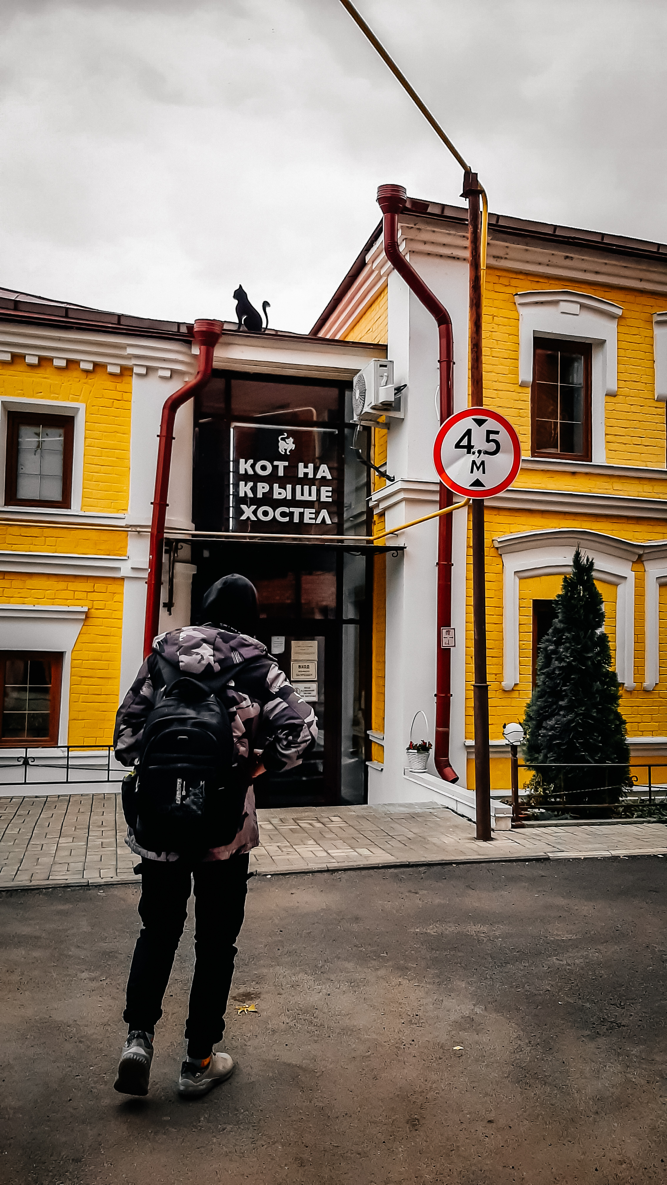 Фото Кот на крыше