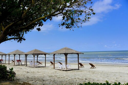 Гостиница Hotel Ctg Manzanillo