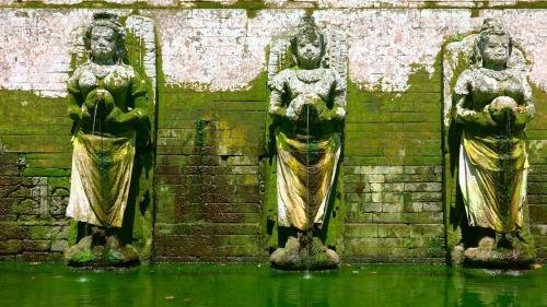 Фото Villa Taman Sari