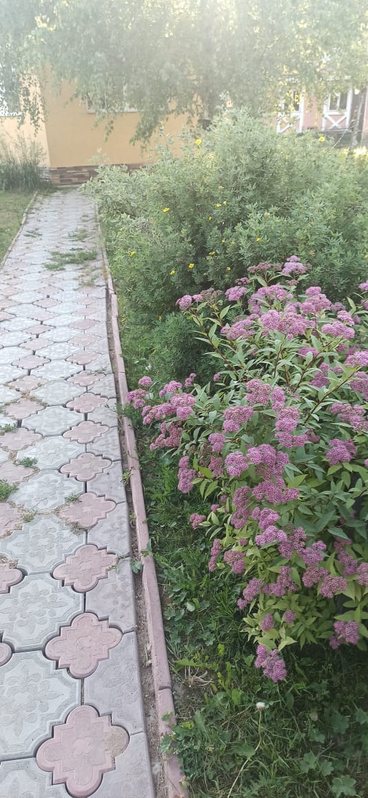 Фото Lesnaya Skazka