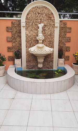 VAO reklamalarida jinsiy aloqa