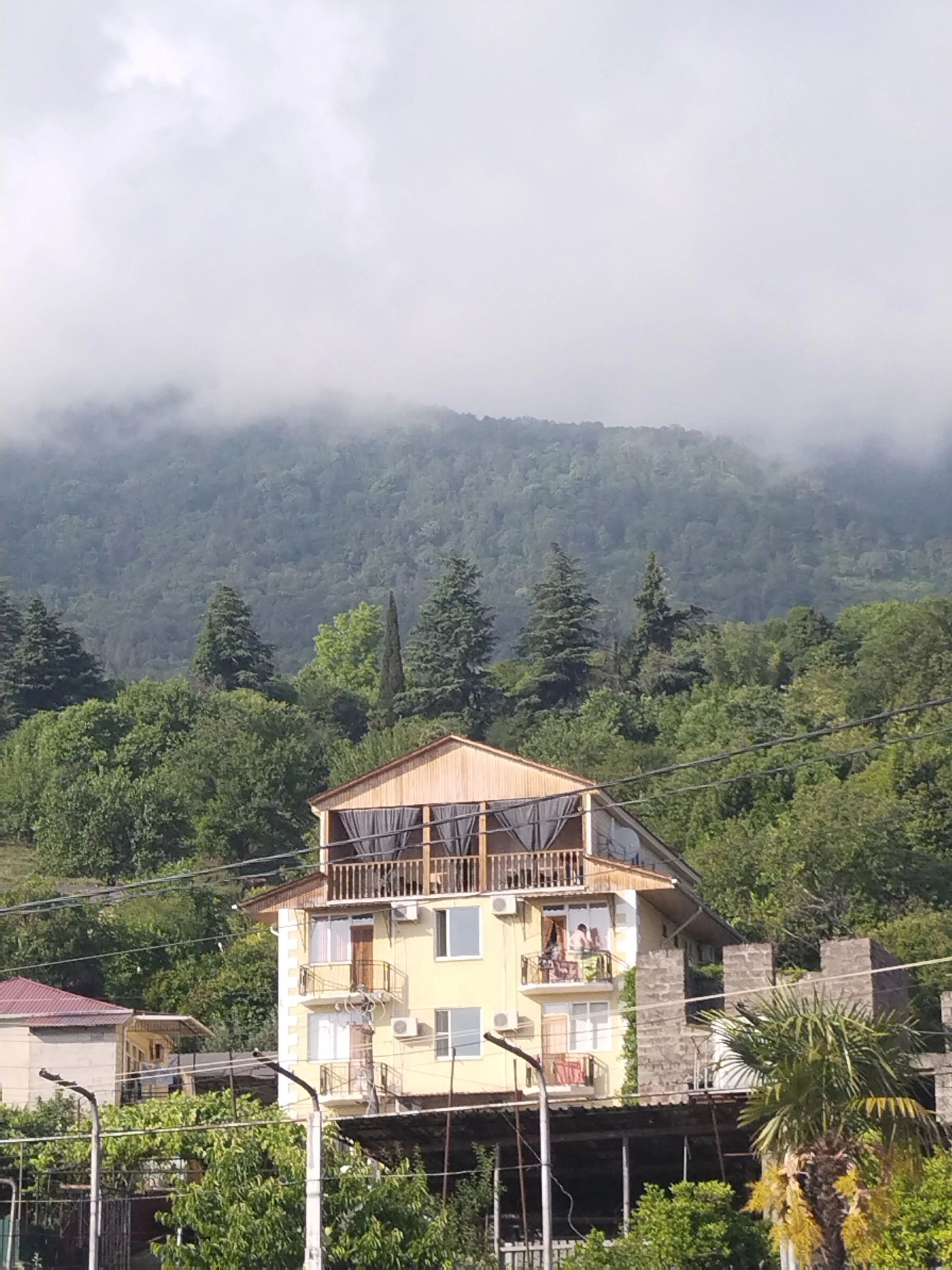 Фото Мандариновый Сад