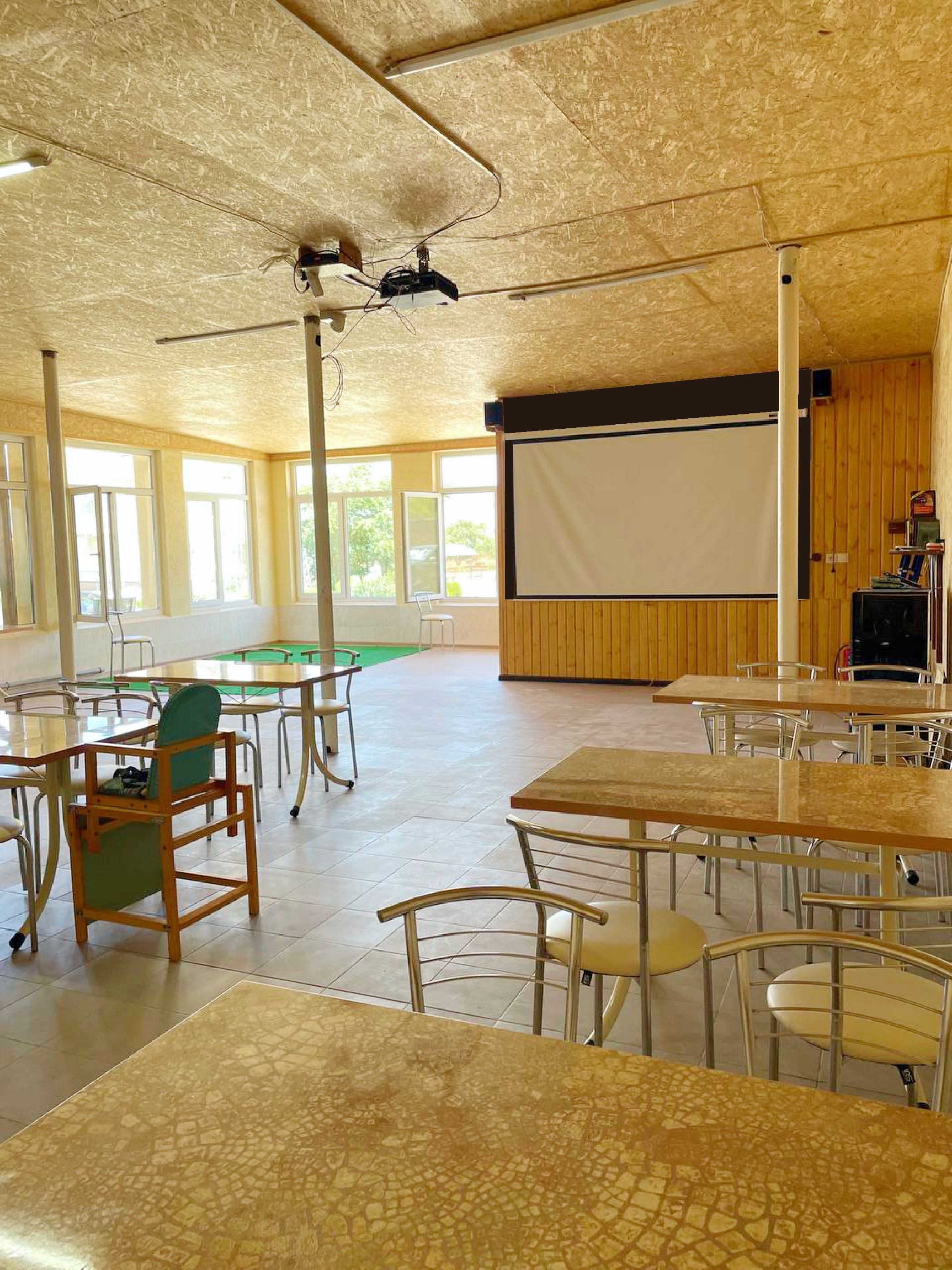 Фото Кактус