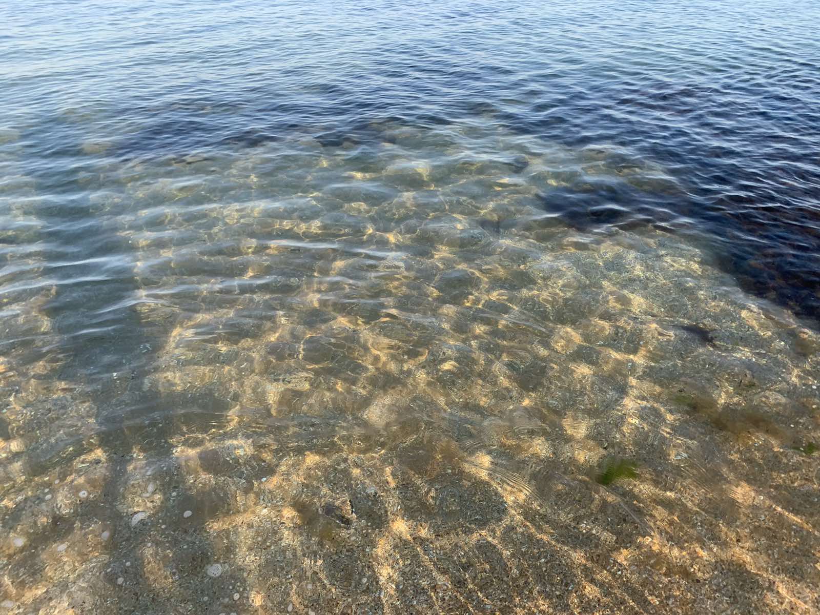 Фото Майами Хаус