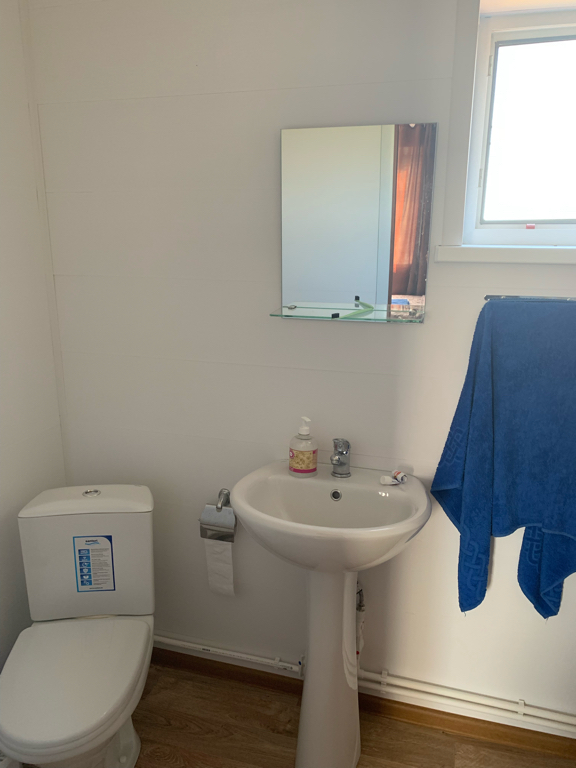 Фото Березка