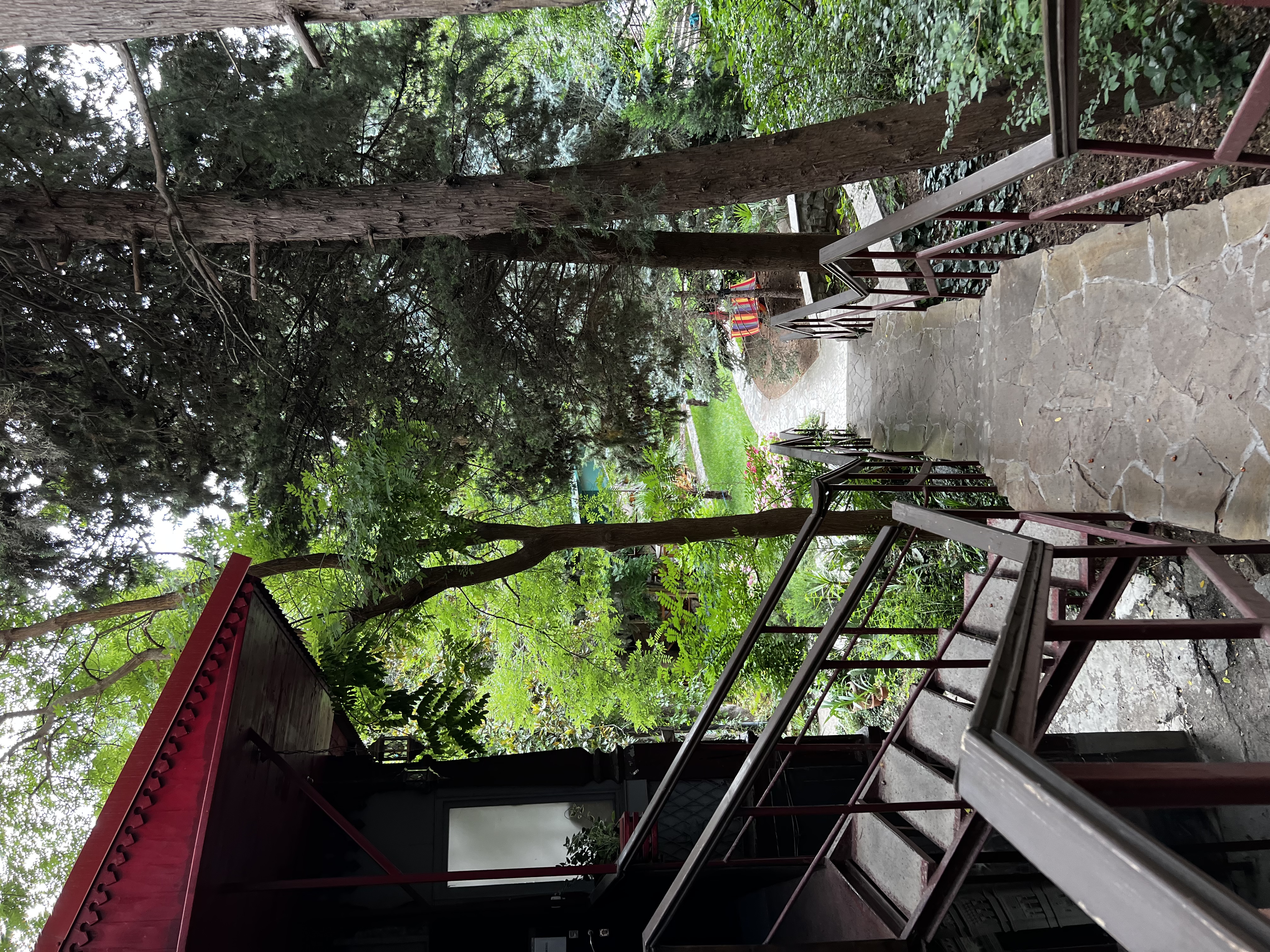 Фото Муссон