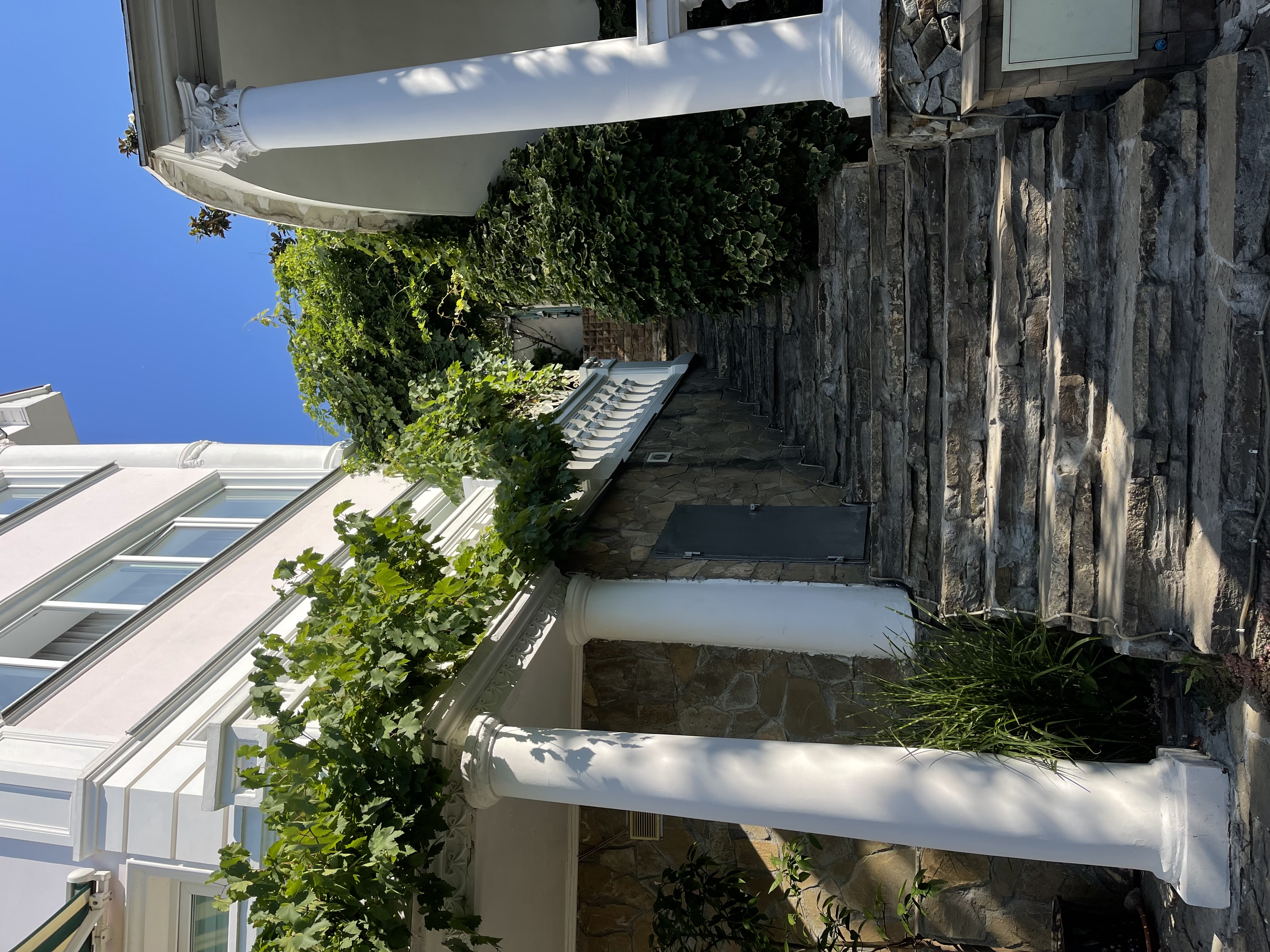 Фото Бон Мезон