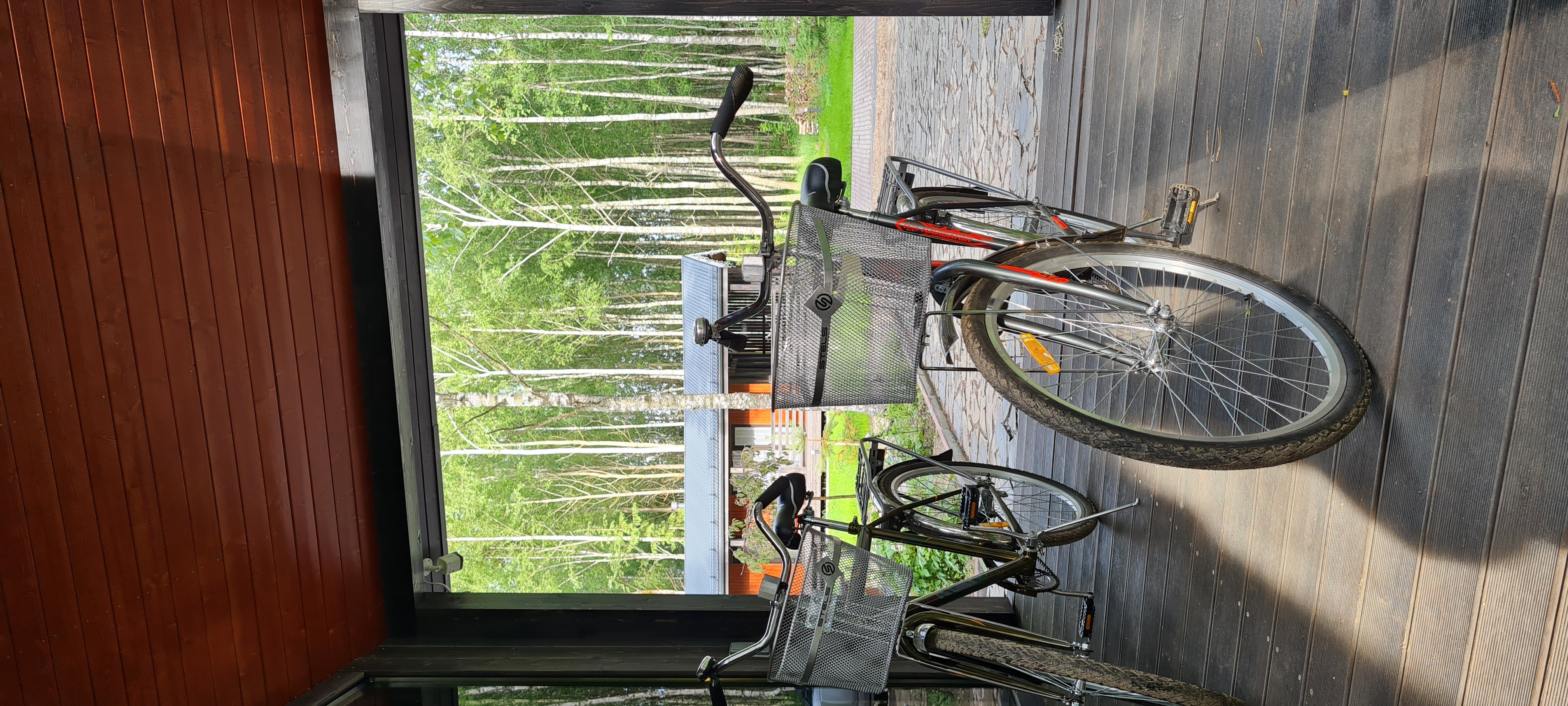 Фото Домик в соснах