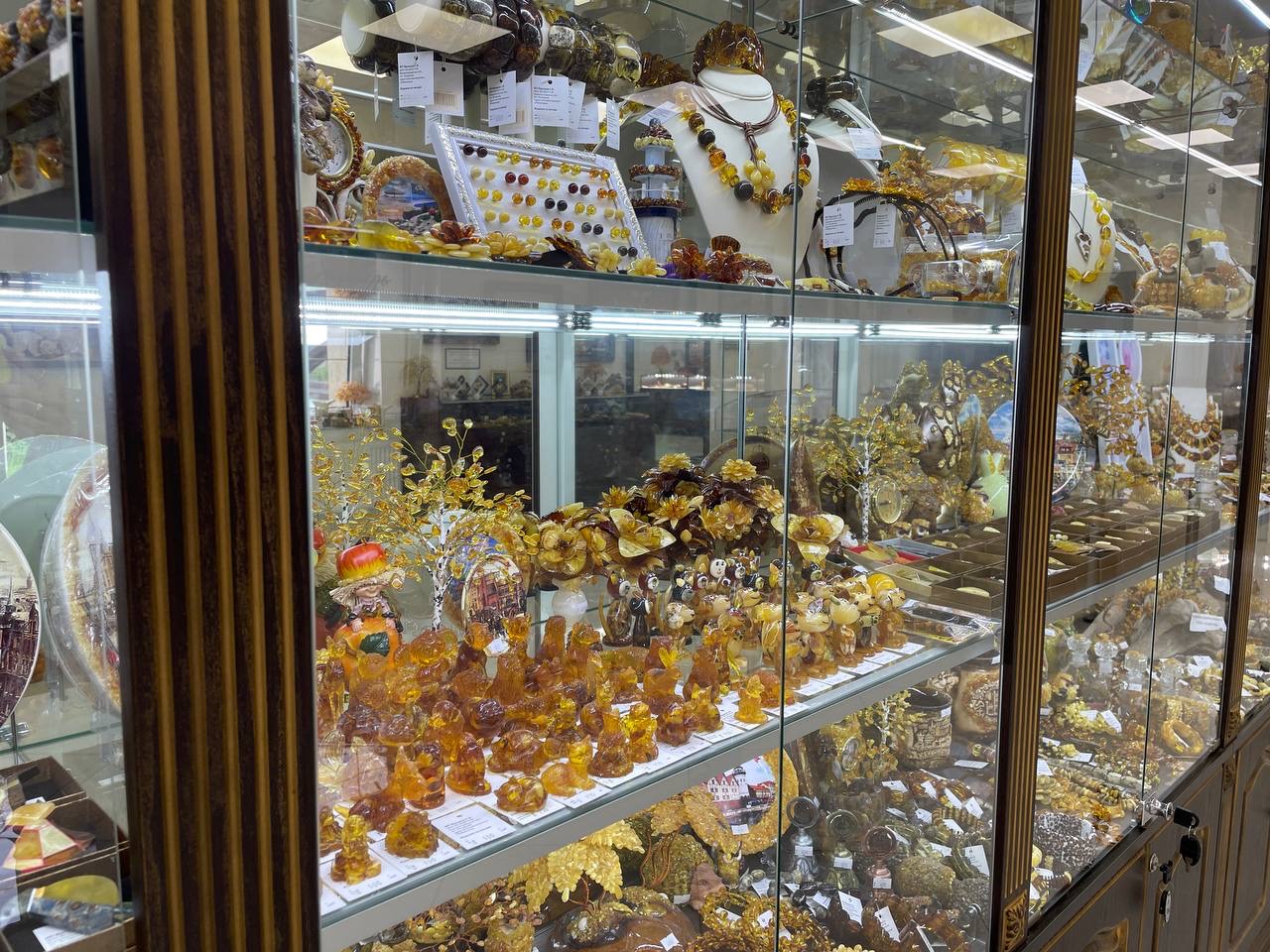 Фото Робертина