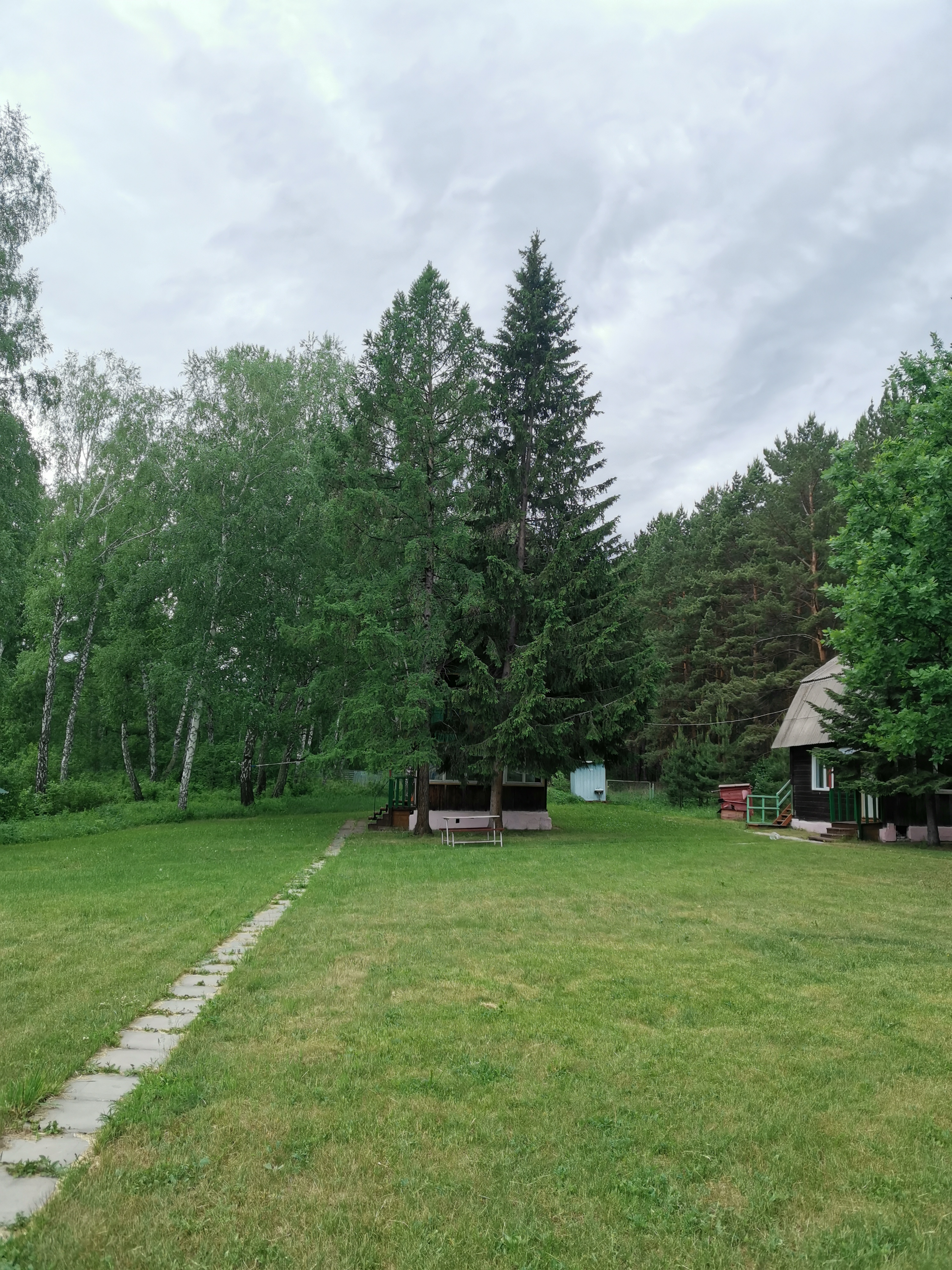 Фото Зелёная поляна