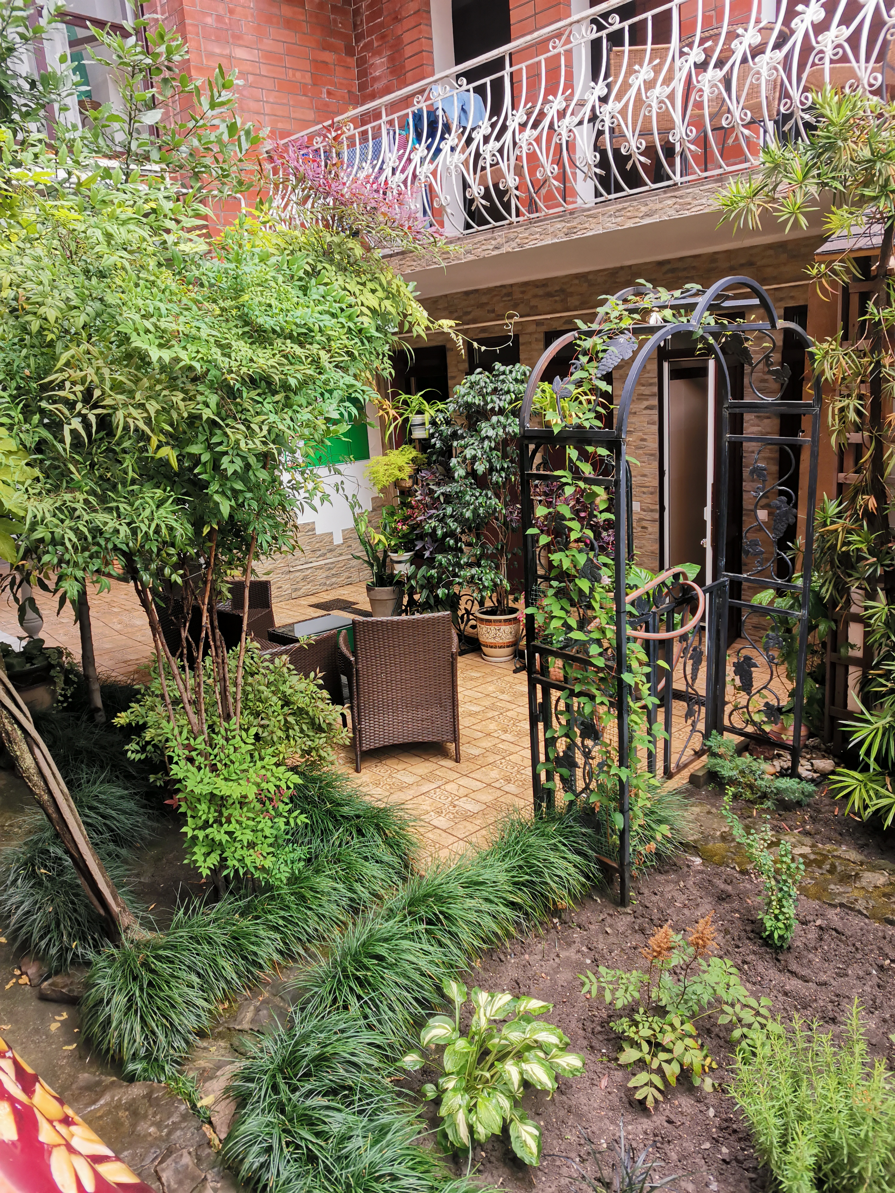 Фото Петрович