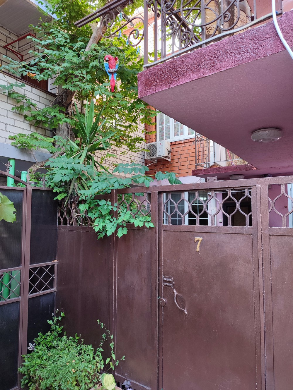 Фото У Людмилы