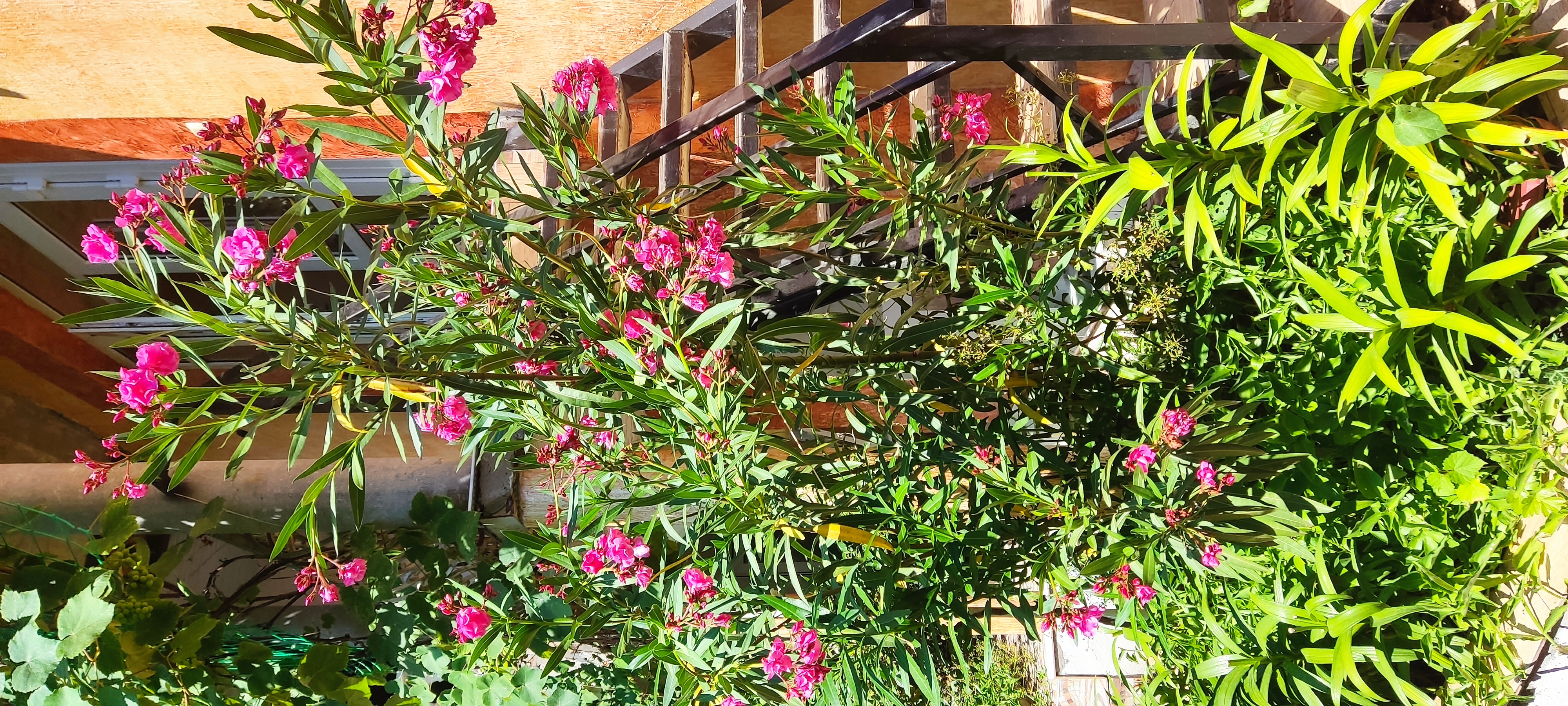 Фото Рандеву