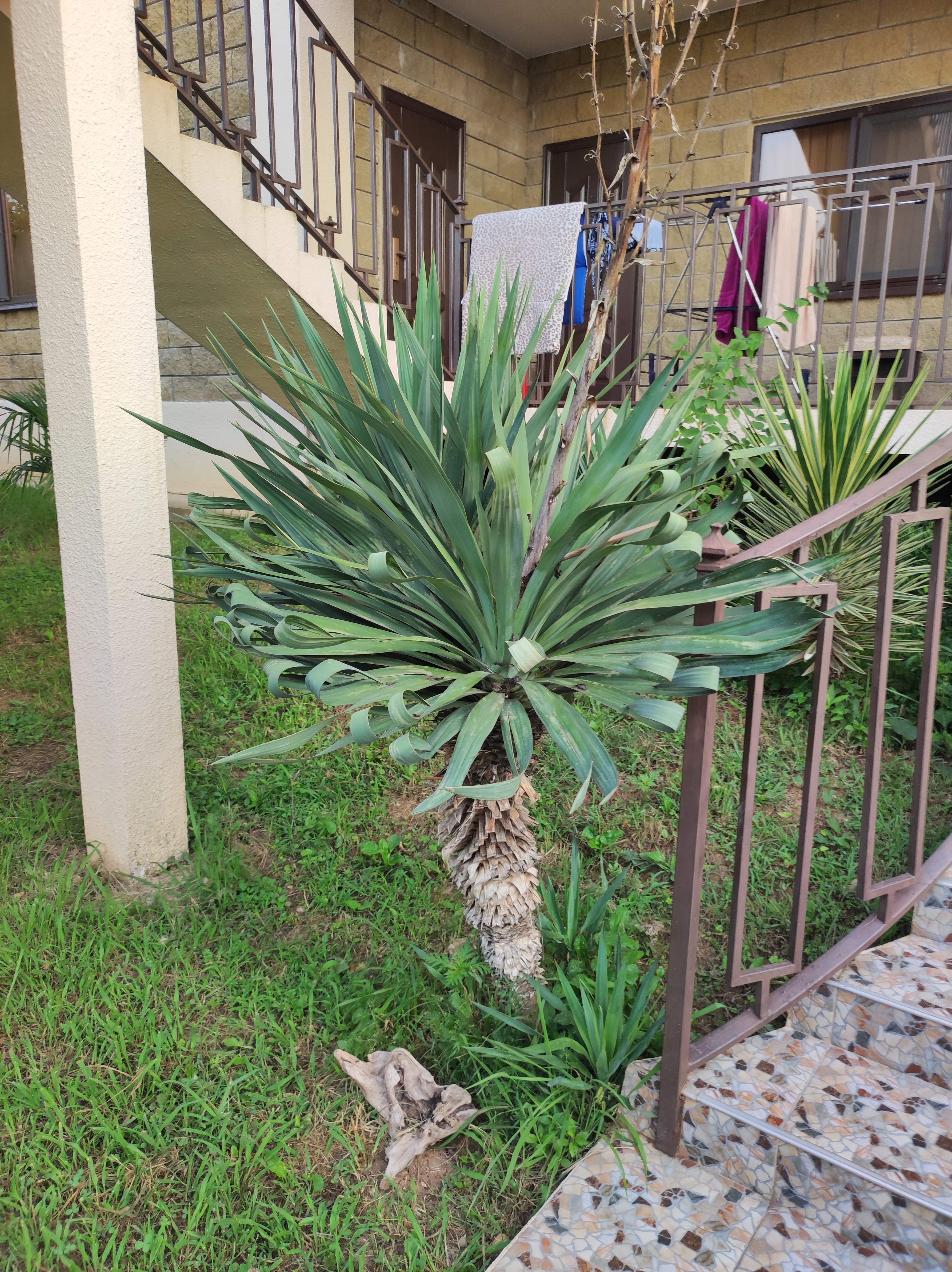 Фото Гостевой дом Релакскомфорт