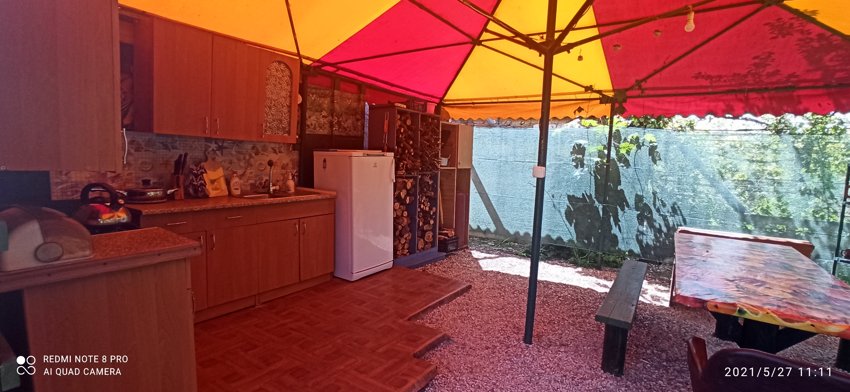 Фото Цветок папоротника