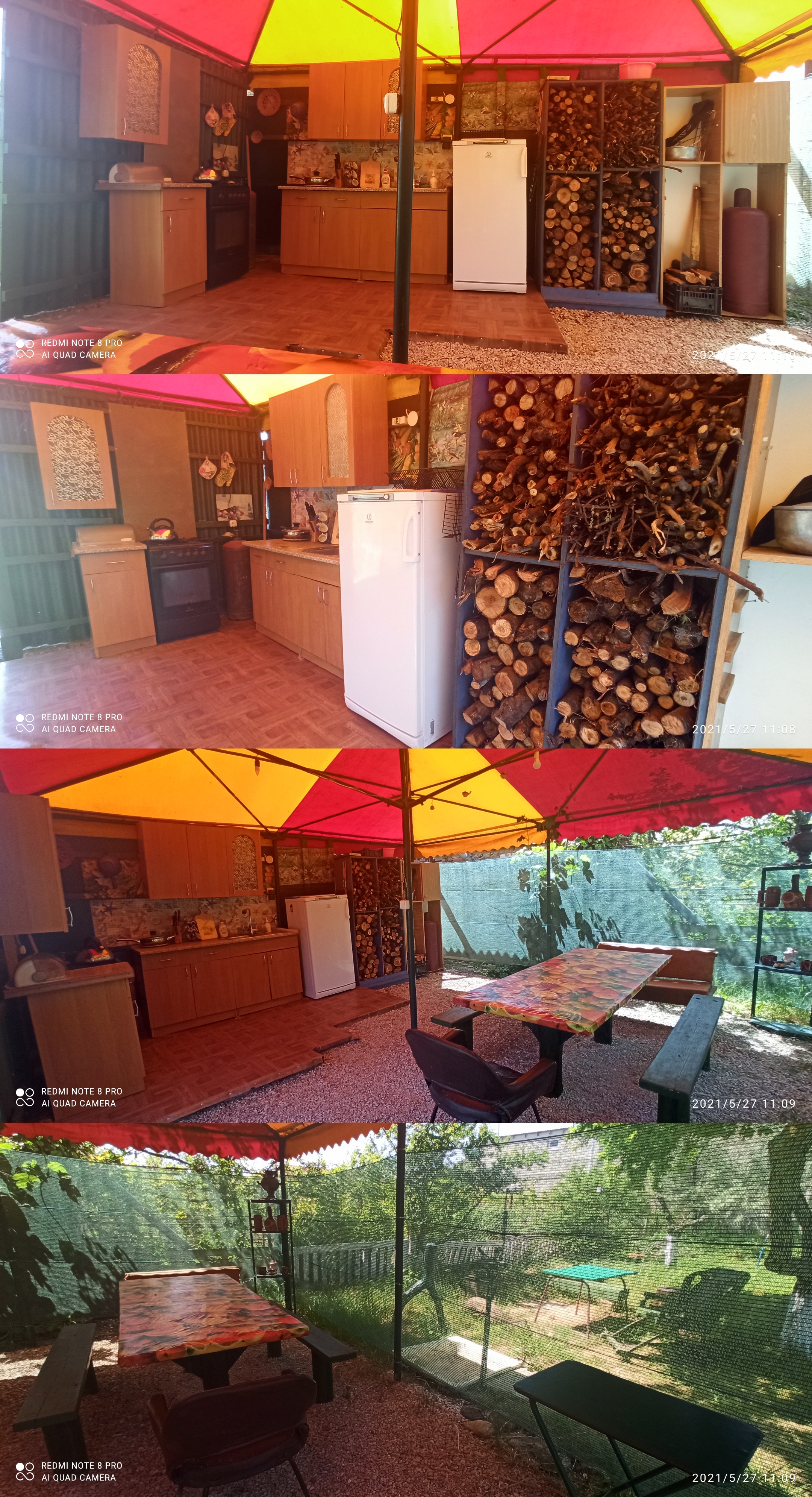 Фото Цветок папоротника