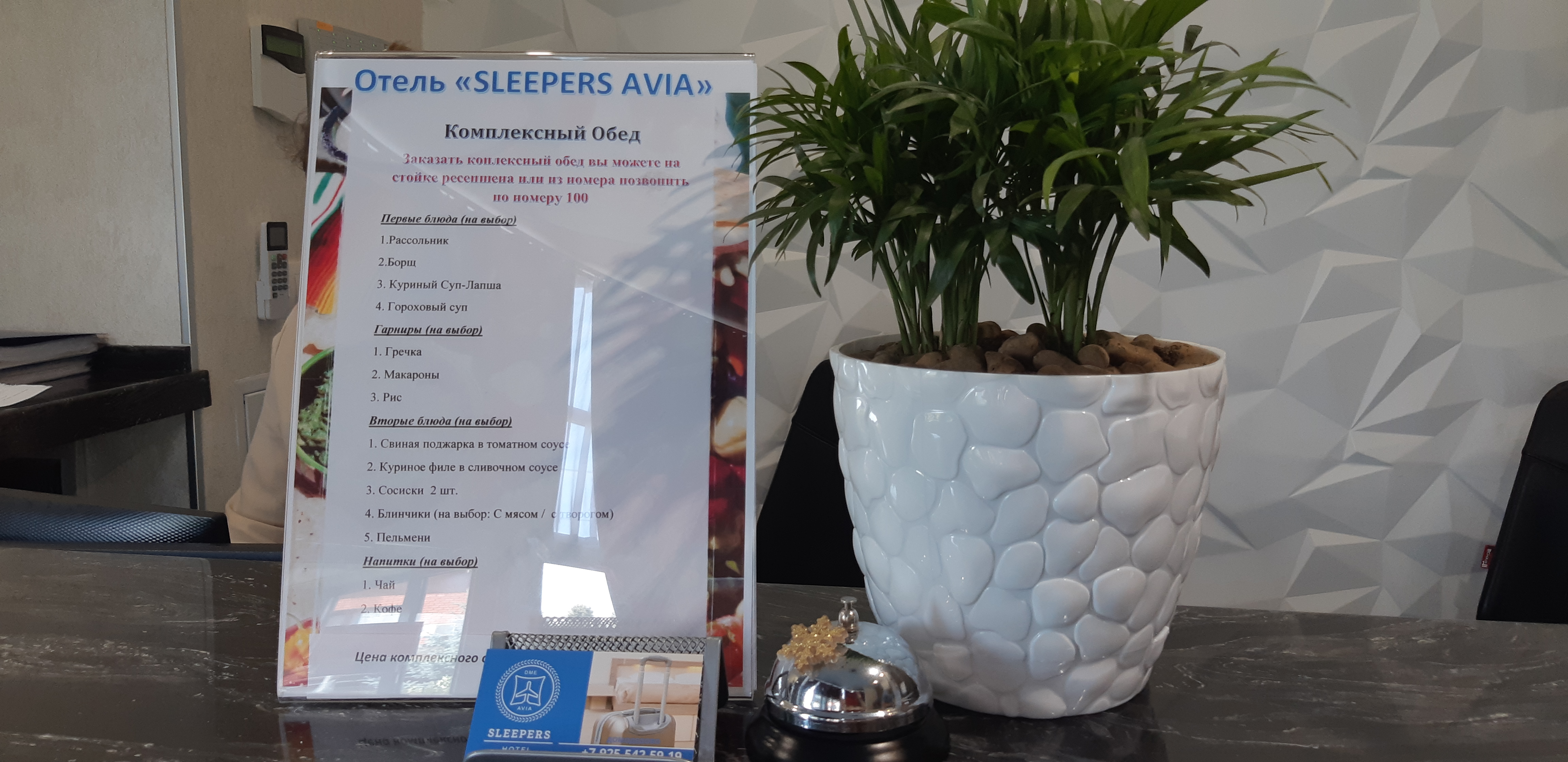 Фото Sleepers Avia Dme