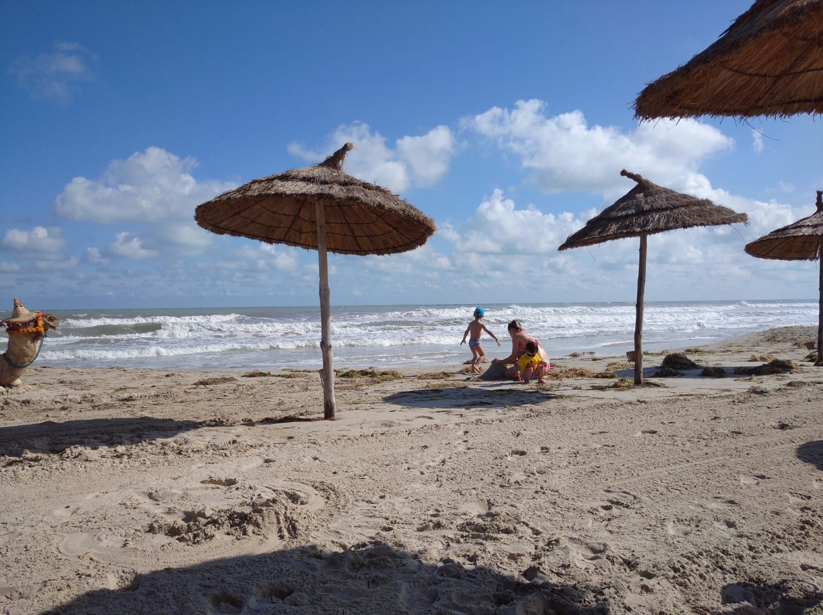 Фото TUI Magic Life Penelope Beach
