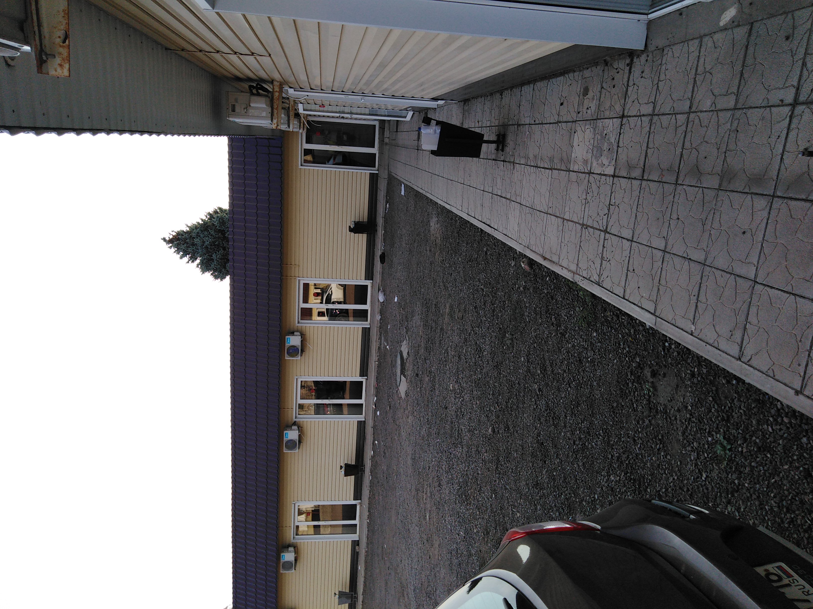 Фото Дубовка