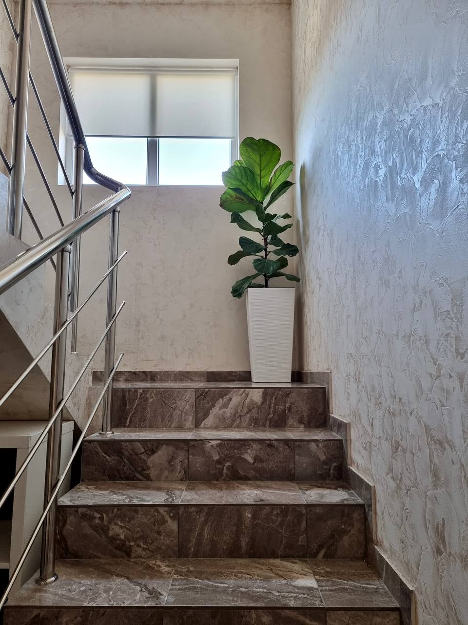 Фото Валенсия