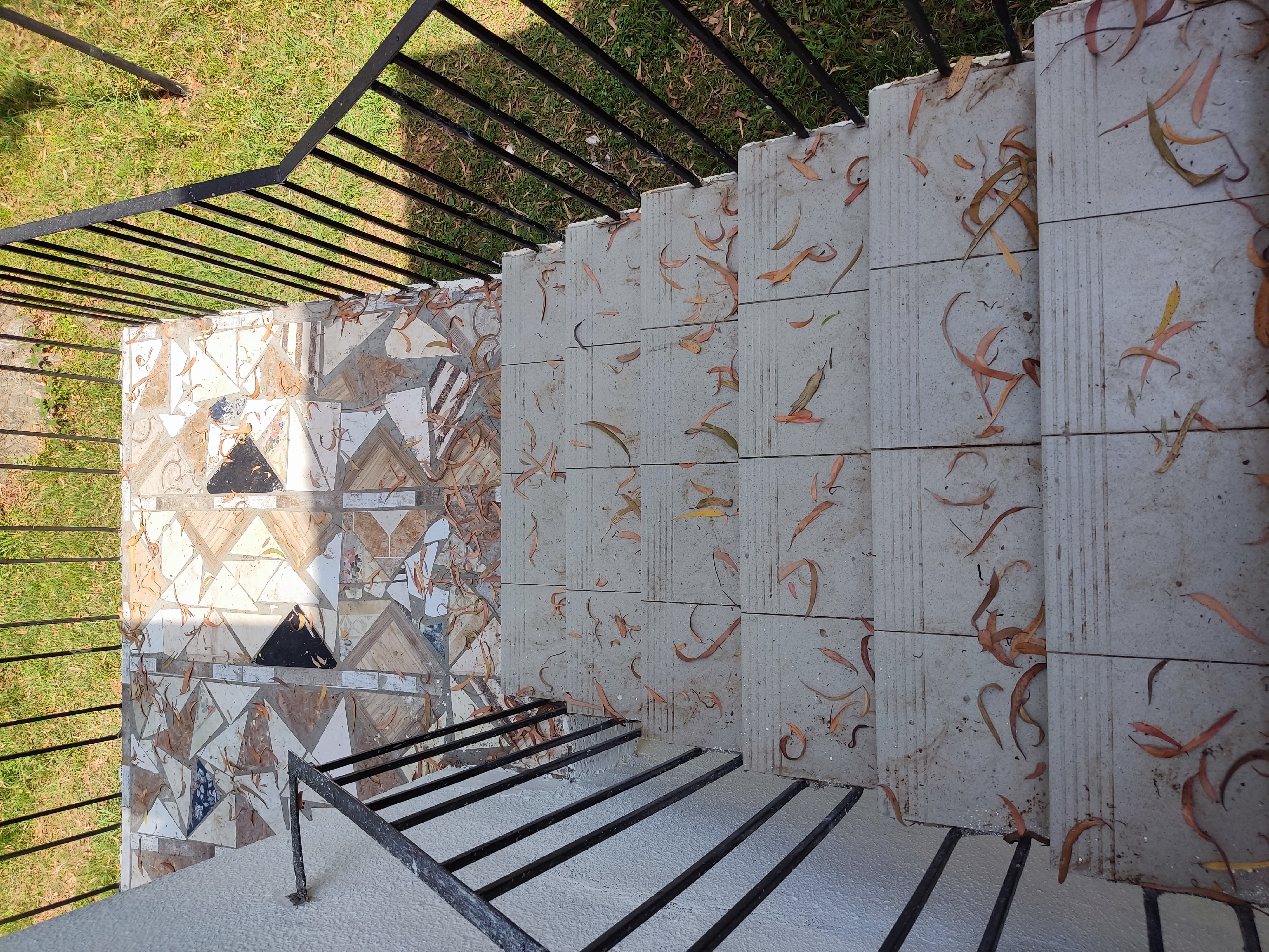 Фото Эвкалиптовая роща