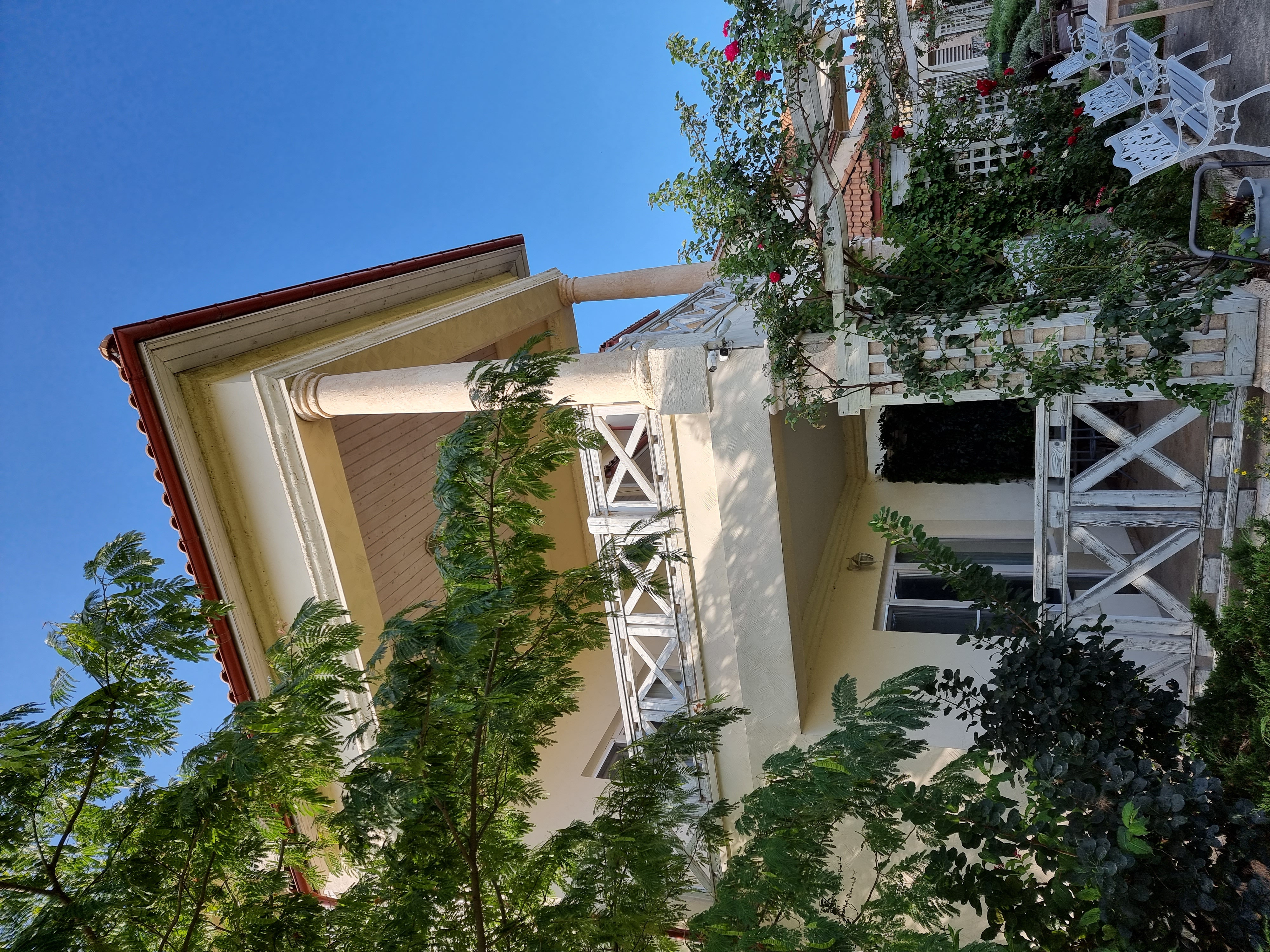 Фото Александрия