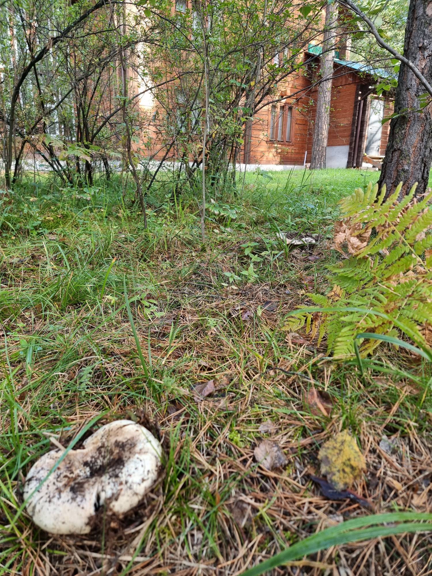 Фото Дача в Узнезе