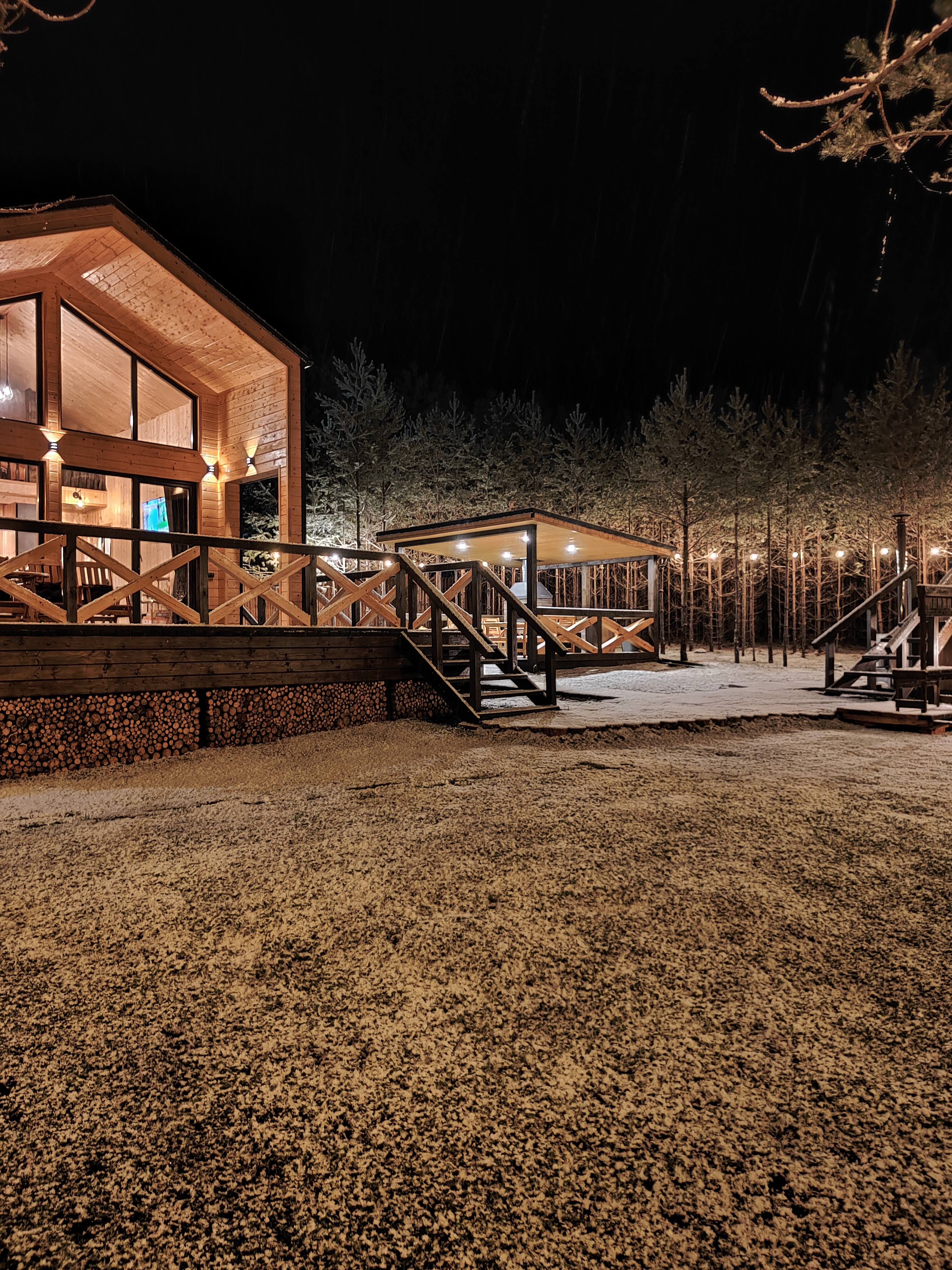 Фото Два Лося