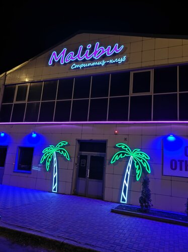 Желідегі соңғы порно