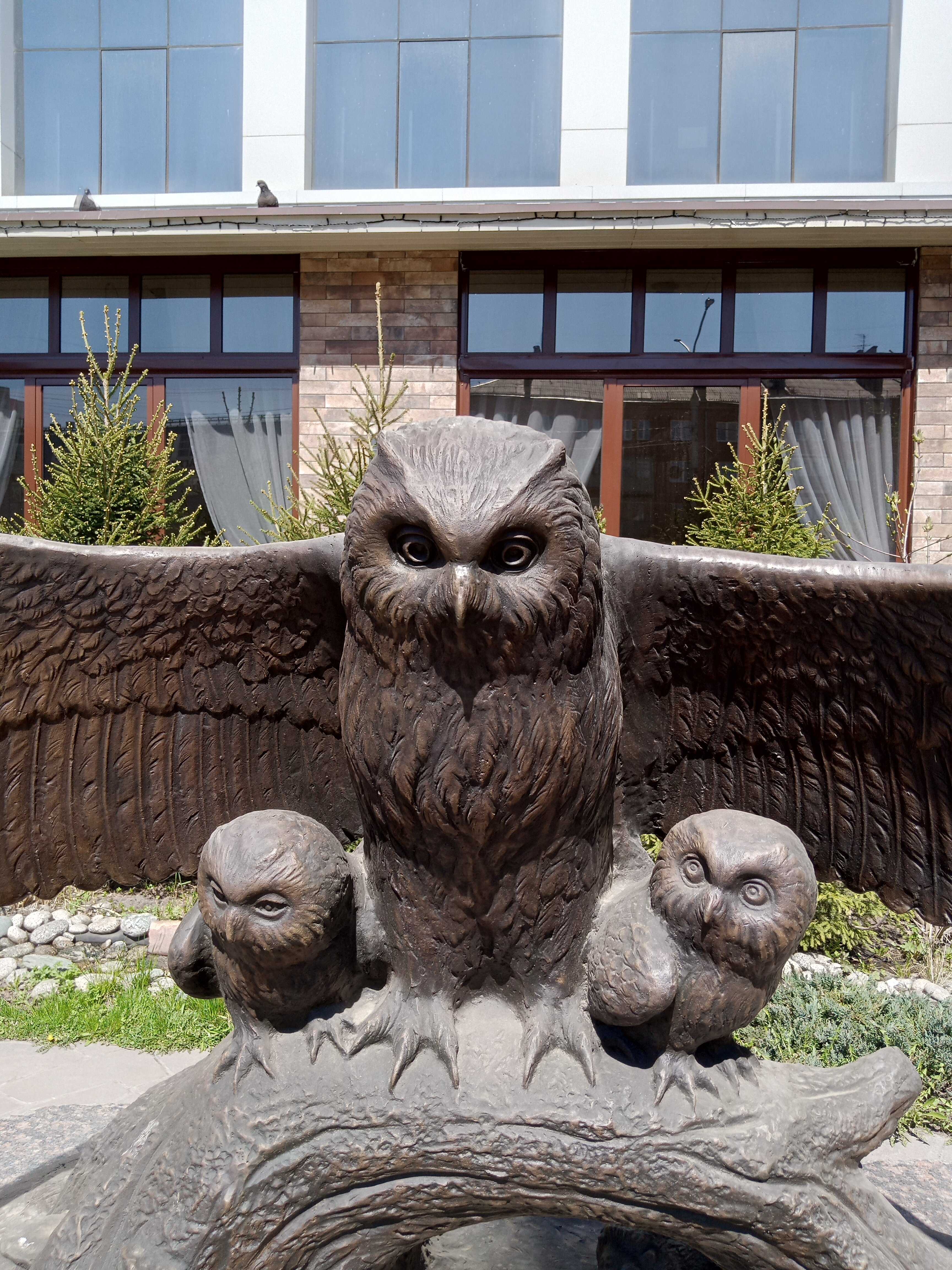 Фото Снежная сова